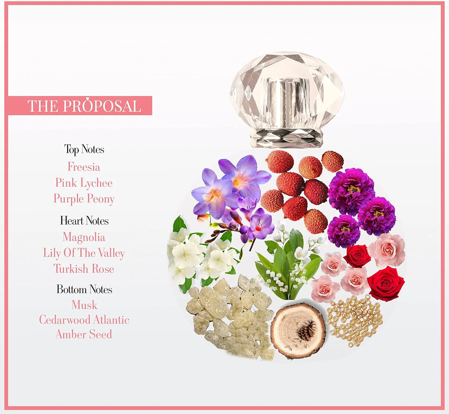 ادو پرفیوم زنانه Mocemsa The Proposal با ماندگاری طولانی، عطر لوکس EDP، حجم 110 میلی لیتر ادو پرفیوم زنانه Mocemsa The Proposal با ماندگاری طولانی، عطر لوکس EDP، حجم 110 میلی لیتر