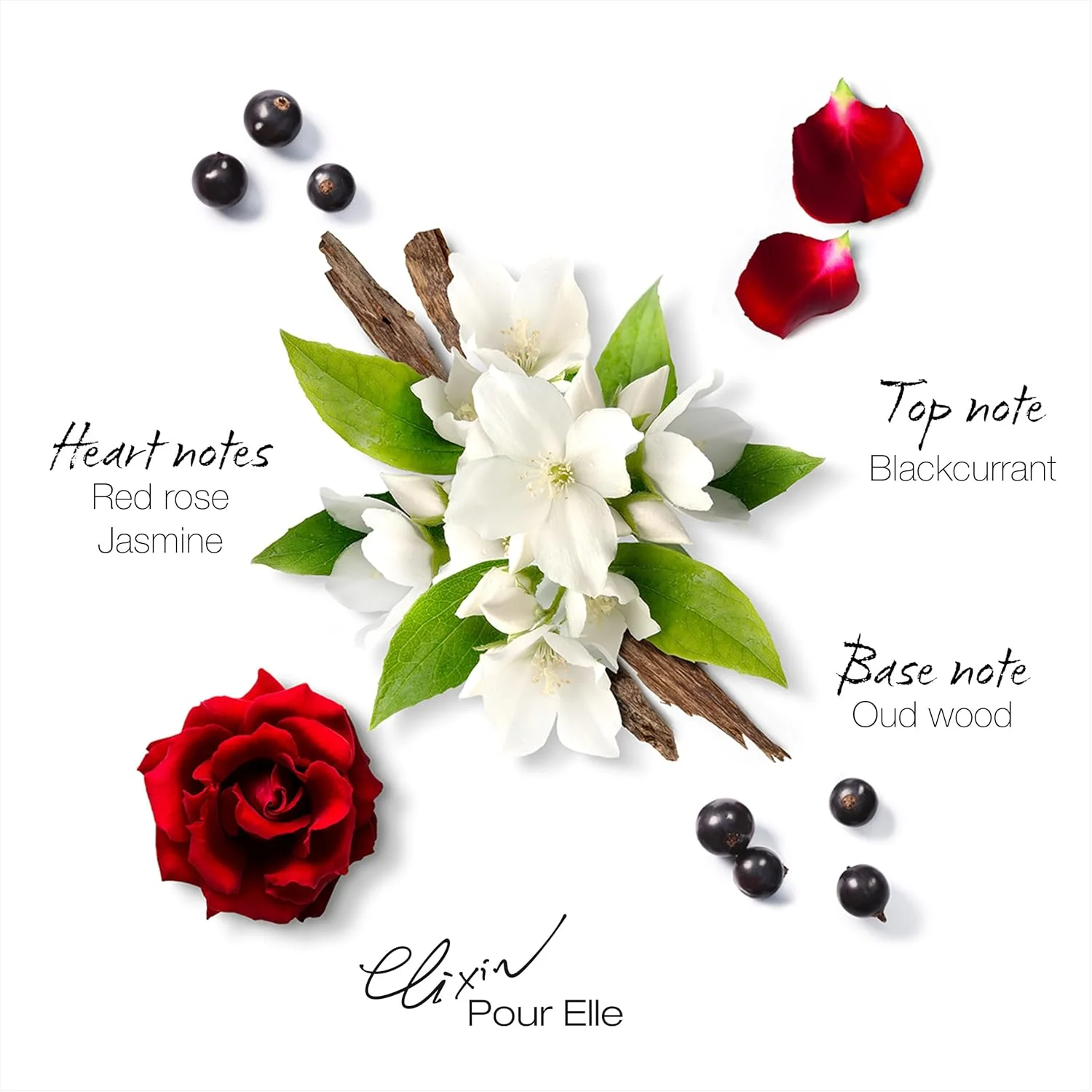 مابوسین - Elixir Pour Elle 100ml (3.3 Fl Oz) - ادو پرفیوم زنانه - رایحه های گلی و شرقی مابوسین - Elixir Pour Elle 100ml (3.3 Fl Oz) - ادو پرفیوم زنانه - رایحه های گلی و شرقی