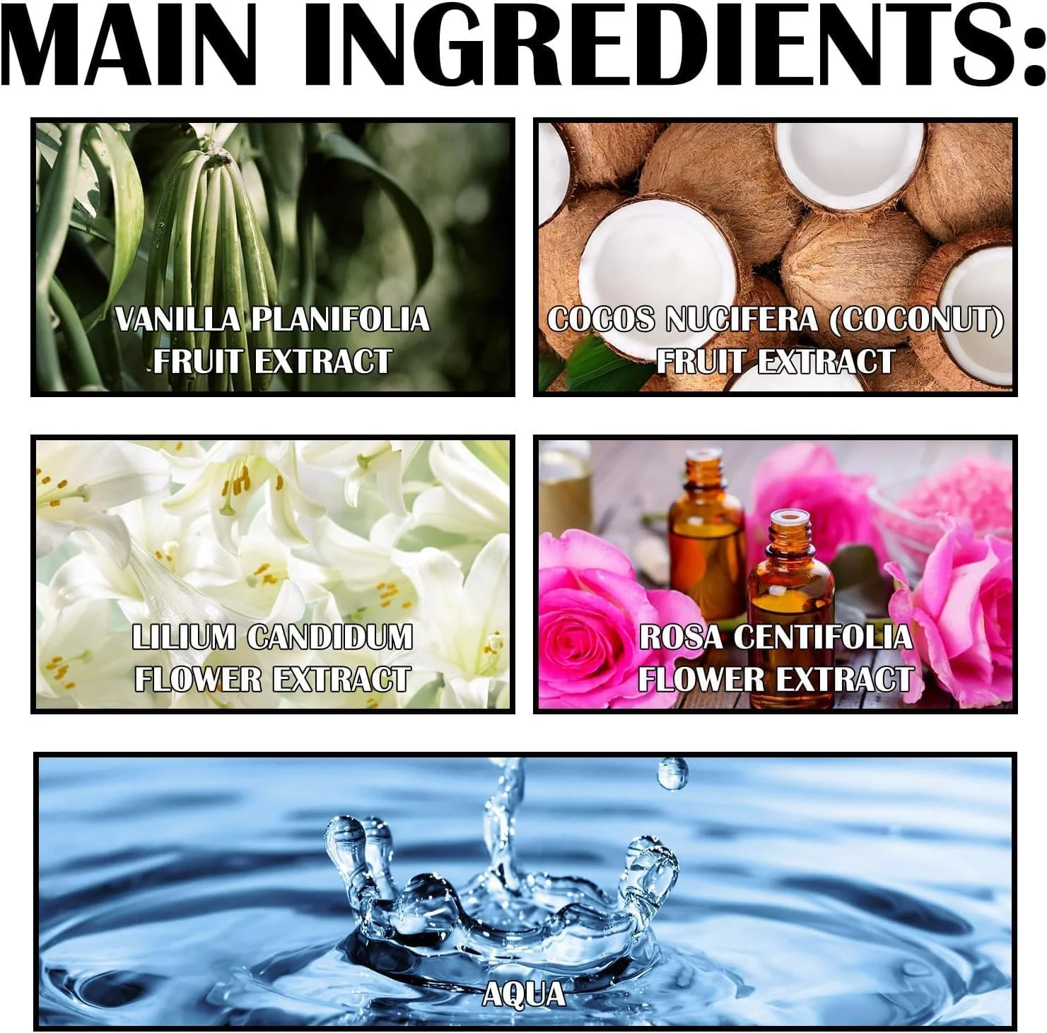 عطر ممتاز لیلی Mazinreem - عطر جذابیت، روغن کلن فرمون ممتاز لیلی برای زنان، رایحه ای تازه، کلاسیک، ماندگار و پاکیزه - (15 میلی لیتر) عطر ممتاز لیلی Mazinreem - عطر جذابیت، روغن کلن فرمون ممتاز لیلی برای زنان، رایحه ای تازه، کلاسیک، ماندگار و پاکیزه - (15 میلی لیتر)