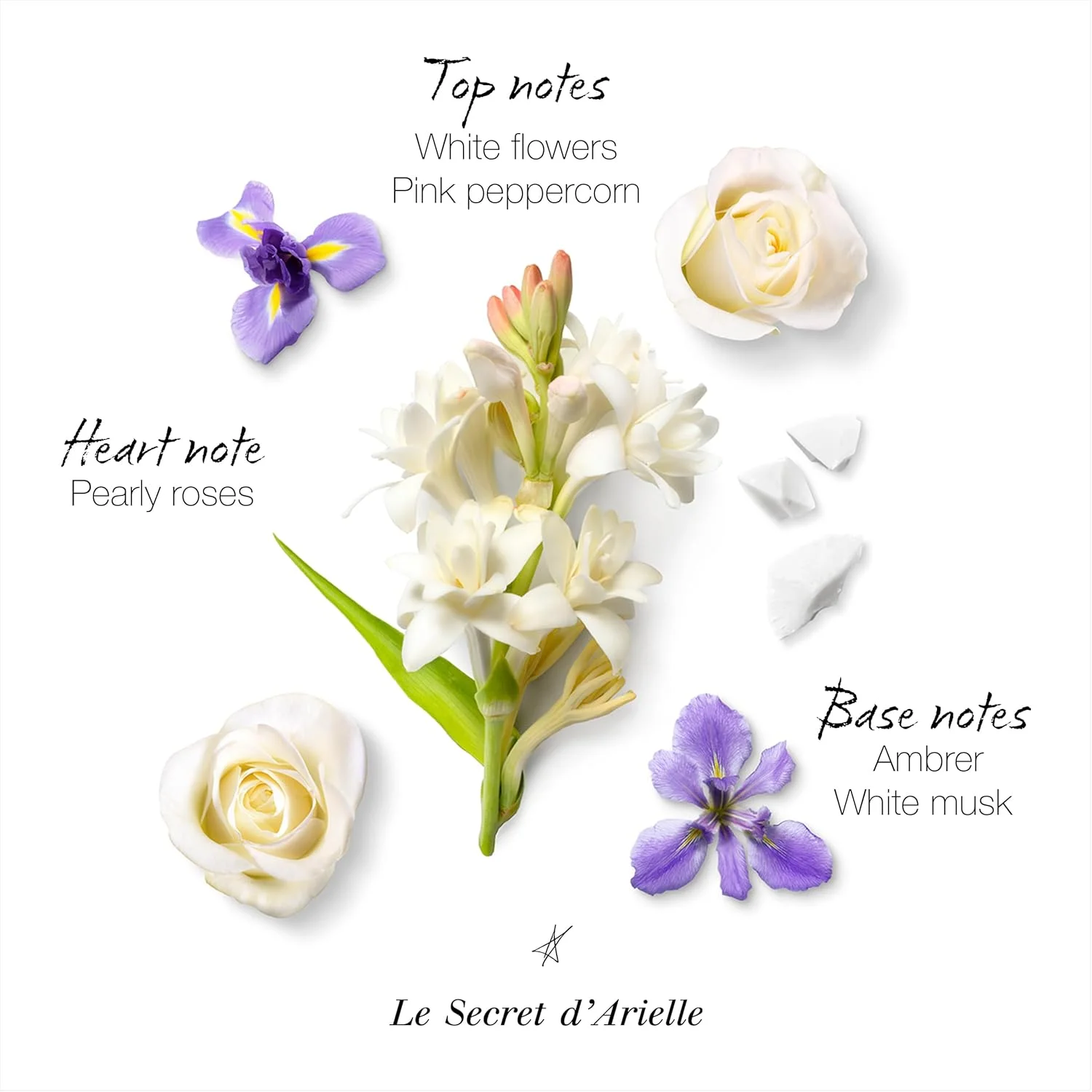 مابوسین - Le Secret d'Arielle 50ml (1.7 Fl Oz) - ادو پرفیوم زنانه - رایحه گلی مابوسین - Le Secret d'Arielle 50ml (1.7 Fl Oz) - ادو پرفیوم زنانه - رایحه گلی