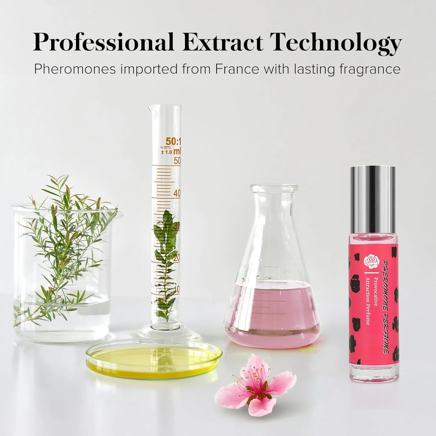 عطر فرمونی زنانه LBOYLOVE®، عطر فرمونی با ماندگاری طولانی و اعتیادآور، روغن عطر فرمونی شخصی رولی برای زنان برای جذب مردان، عشق زهرآگین کیوپید برای زنان عطر فرمونی زنانه LBOYLOVE®، عطر فرمونی با ماندگاری طولانی و اعتیادآور، روغن عطر فرمونی شخصی رولی برای زنان برای جذب مردان، عشق زهرآگین کیوپید برای زنان