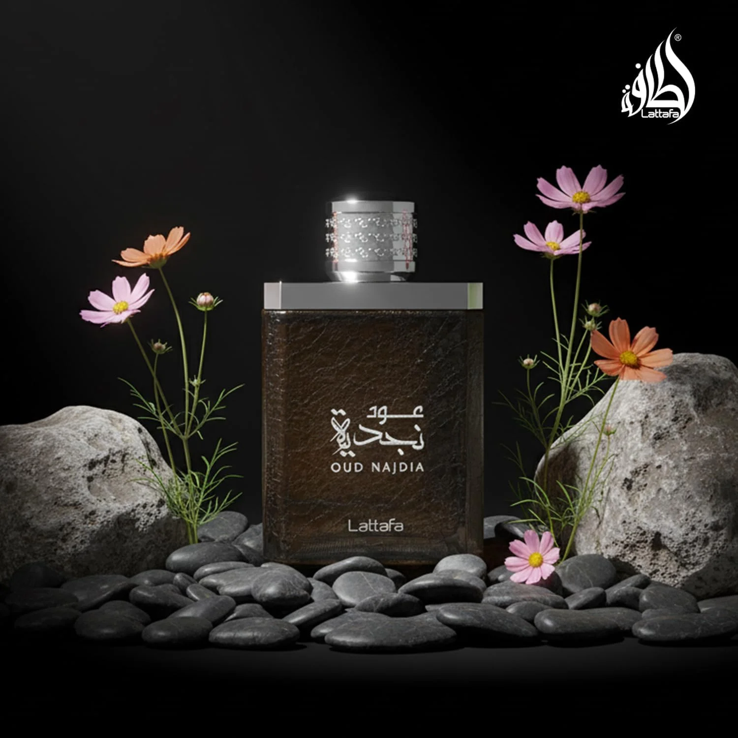 عطر ادکلن унисекс لطافه عود نجدیه - 100 میلی لیتر عطر ادکلن унисекс لطافه عود نجدیه - 100 میلی لیتر