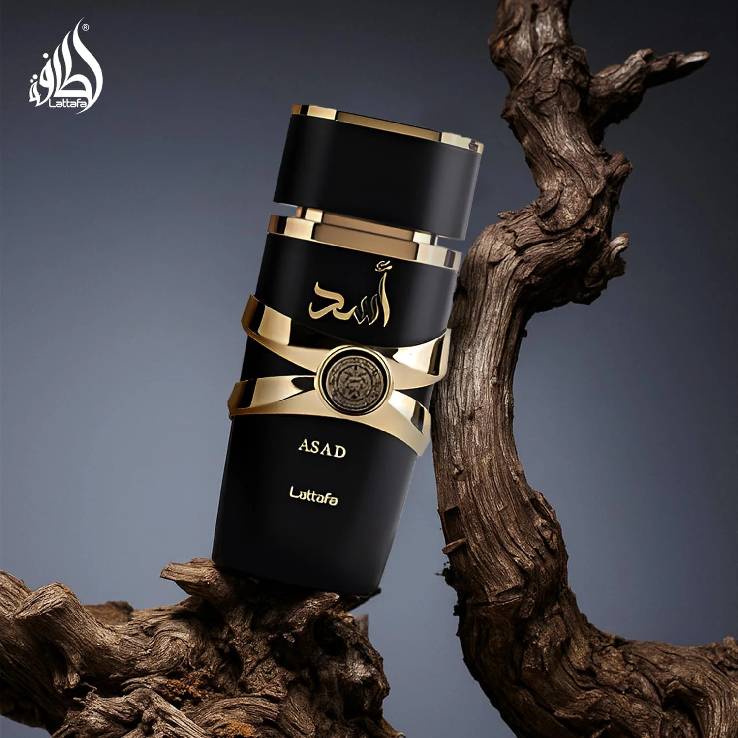 عطر وارداتی لوکس و ماندگار لطافه اسد، عطر عود و مشک با طراوت ممتاز، ادو پرفیوم 100 میلی لیتر، عطر یونیسکس (بسته 1 عددی)