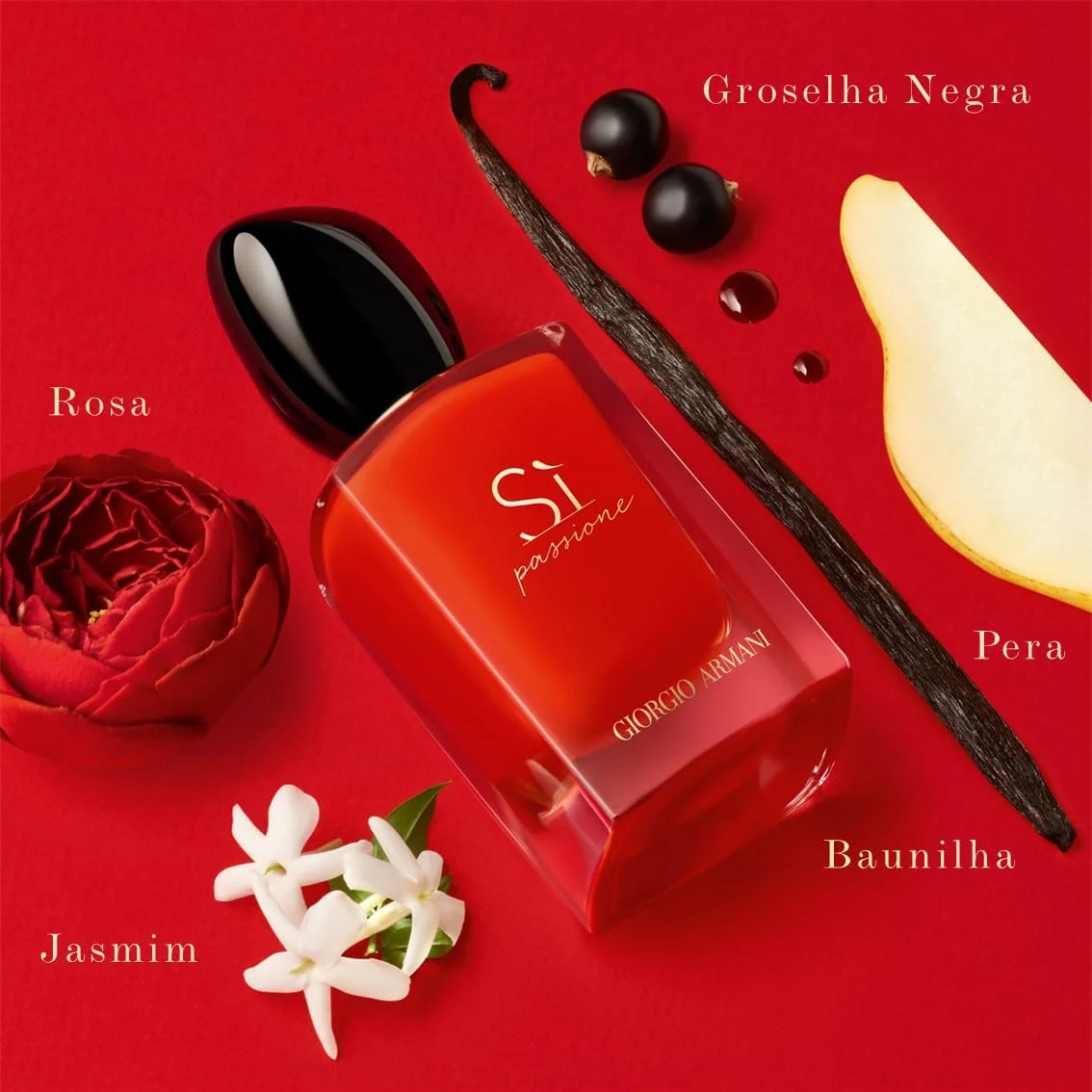 عطر زنانه جورجیو آرمانی Si Passione - 100 میلی لیتر (Arm00301) عطر زنانه جورجیو آرمانی Si Passione - 100 میلی لیتر (Arm00301)