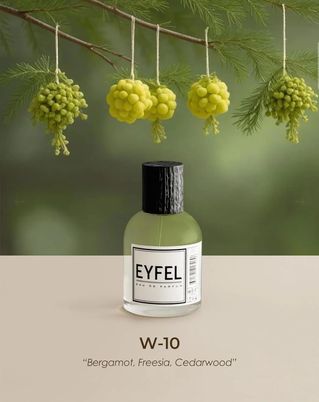 عطرهای زنانه ایفل - W10 الهام گرفته از J'ADORE - اسپری ادو پرفیوم - عطرهای زنانه - EDP 100 میلی لیتر عطرهای زنانه ایفل - W10 الهام گرفته از J'ADORE - اسپری ادو پرفیوم - عطرهای زنانه - EDP 100 میلی لیتر