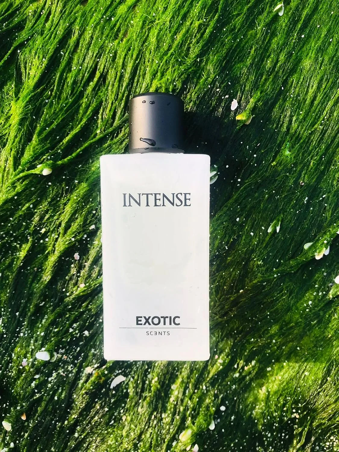 ادو پرفیوم اینتنس Exotic Scents - 60 میلی لیتر | اسانس نت های تازه آبزی، رایحه ماندگار ادو پرفیوم اینتنس Exotic Scents - 60 میلی لیتر | اسانس نت های تازه آبزی، رایحه ماندگار