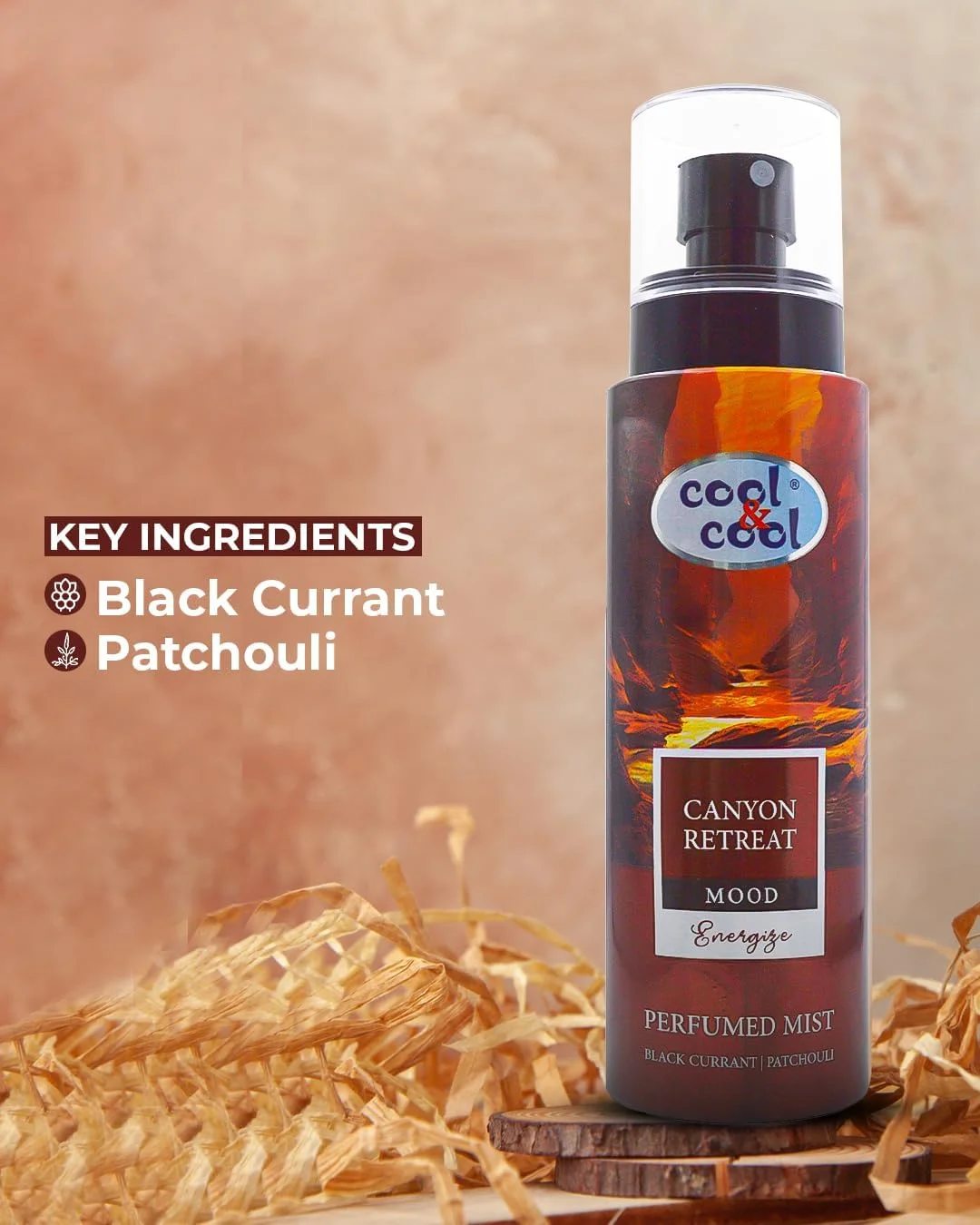 اسپری خوشبو کننده بدن کول اند کول مدل Canyon Retreat 250ML - انگور فرنگی سیاه و نعناع هندی، اسپری انرژی بخش بدن برای آقایان و بانوان اسپری خوشبو کننده بدن کول اند کول مدل Canyon Retreat 250ML - انگور فرنگی سیاه و نعناع هندی، اسپری انرژی بخش بدن برای آقایان و بانوان