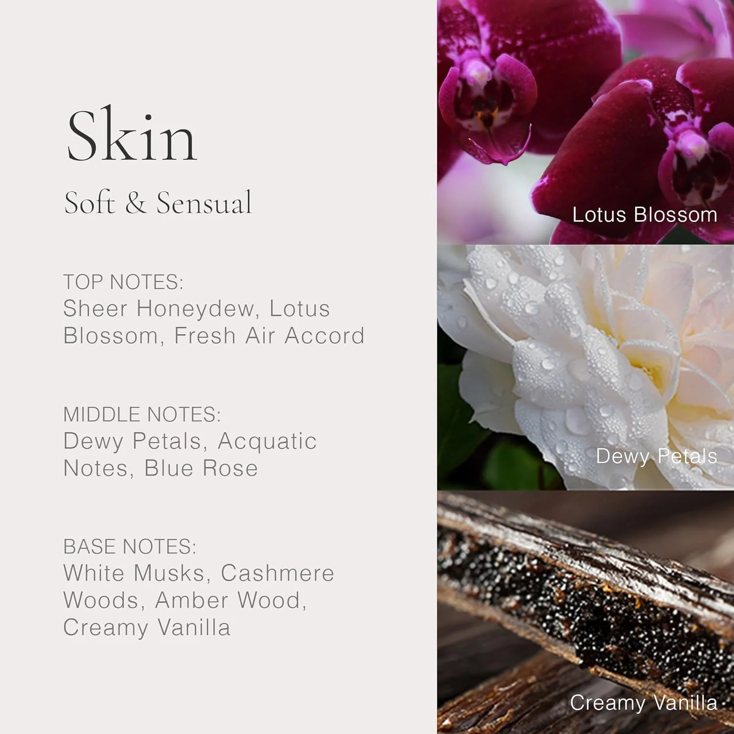 عطر اسپری لایه ای کلاسیک بدون فتالات و پارابن، وگان، ادو لایت، عطر غیر رسمی