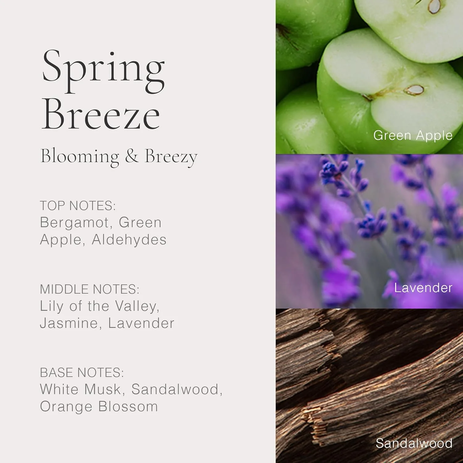 ست تعطیلات کلین کلاسیک 3x30 میلی لیتر WC، Skin & Spring Breeze 2024 ست تعطیلات کلین کلاسیک 3x30 میلی لیتر WC، Skin & Spring Breeze 2024