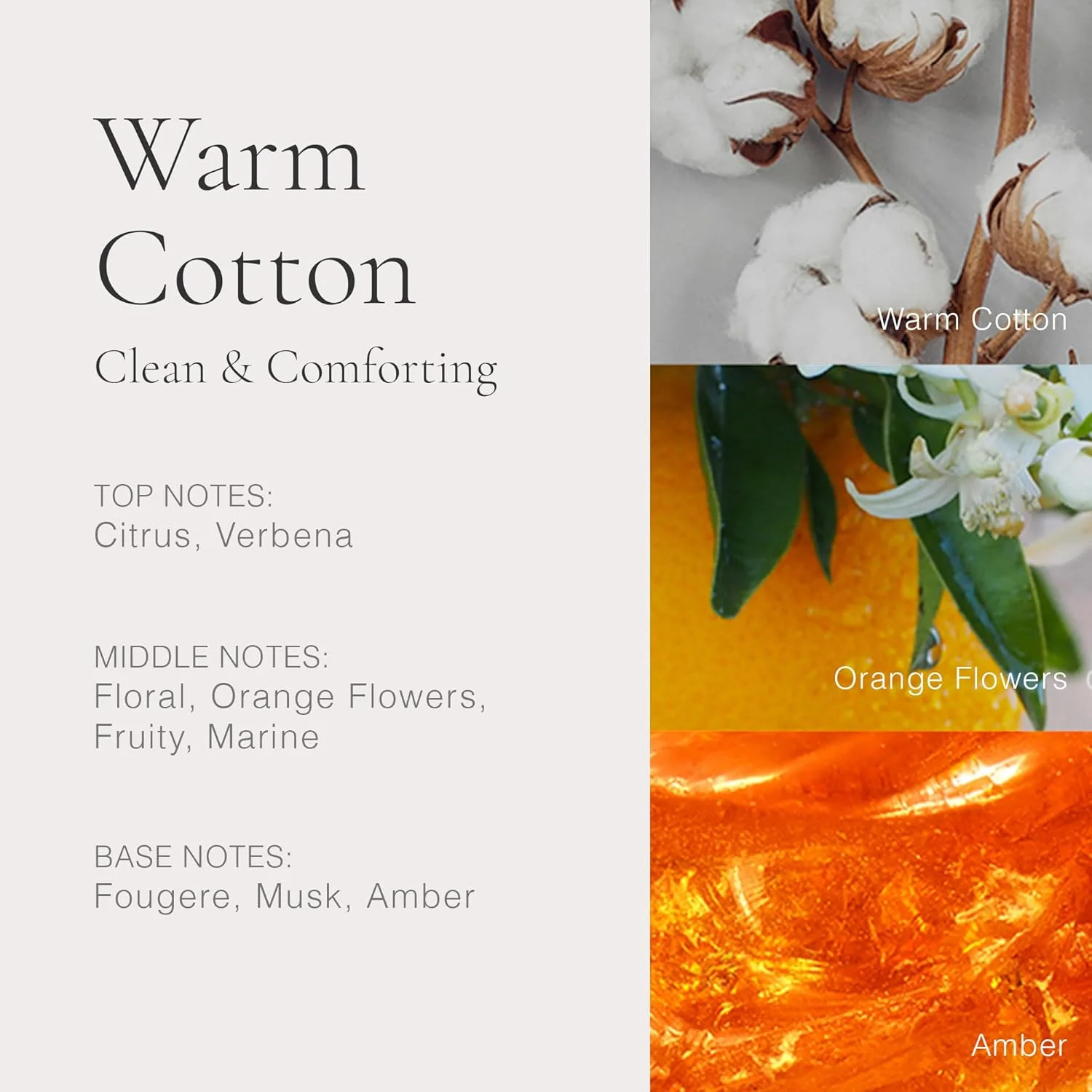 ست هدیه دوتایی ادوکلن زنانه کلین کلاسیک Warm Cotton نسخه تعطیلات 2024