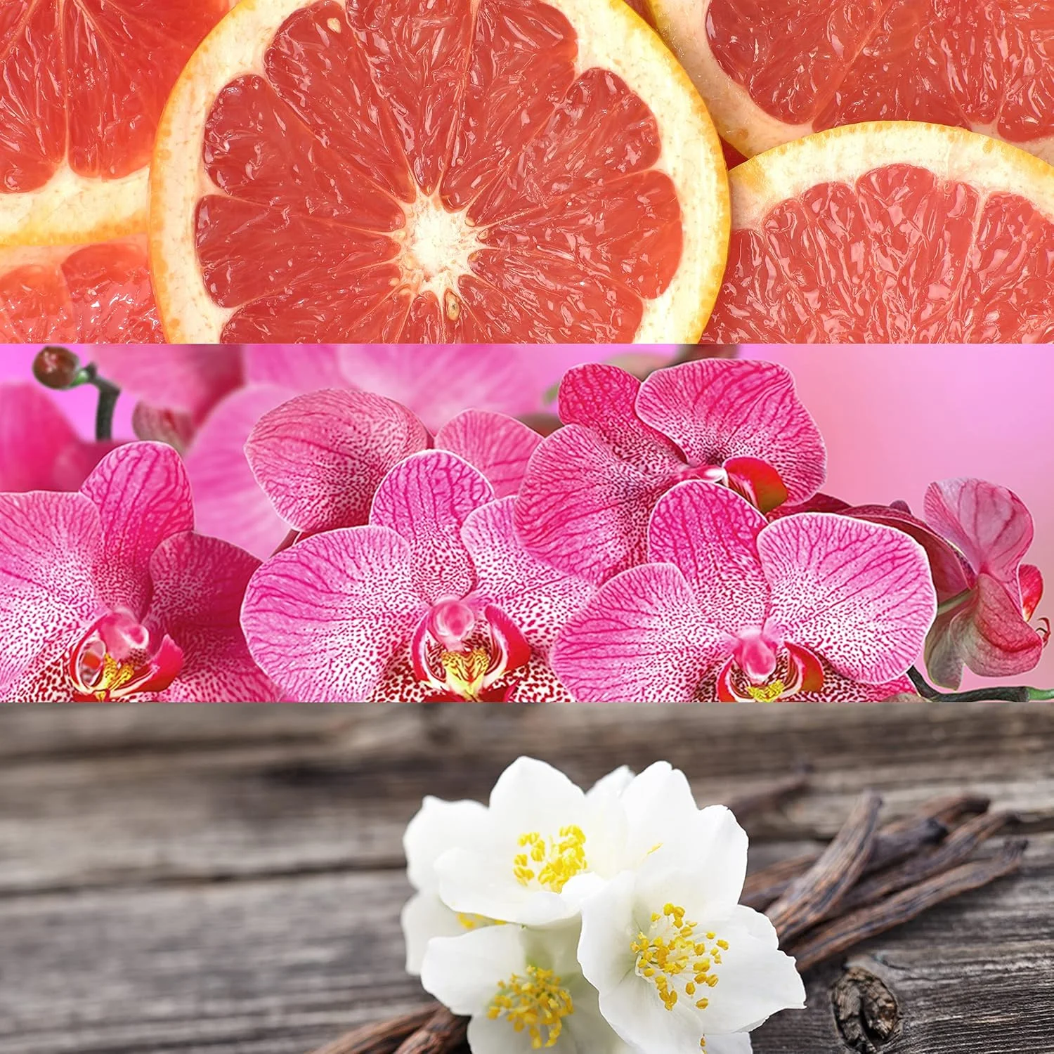 عطر زنانه کلوین کلاین سی کی این تو یو ادو تویلت 50 میلی لیتر عطر زنانه کلوین کلاین سی کی این تو یو ادو تویلت 50 میلی لیتر