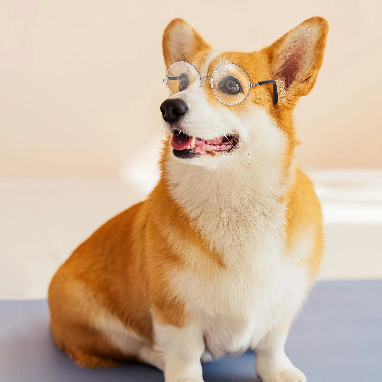 Zjoey 9 جفت عینک عروسکی با قاب فلزی و لنز شفاف، لباس عروسکی، عینک های مینیاتوری، لوازم جانبی لباس برای عروسک 8 اینچی و پولیشی (6 عدد 3.74 اینچی، مناسب برای عروسک 18 اینچی و سگ)