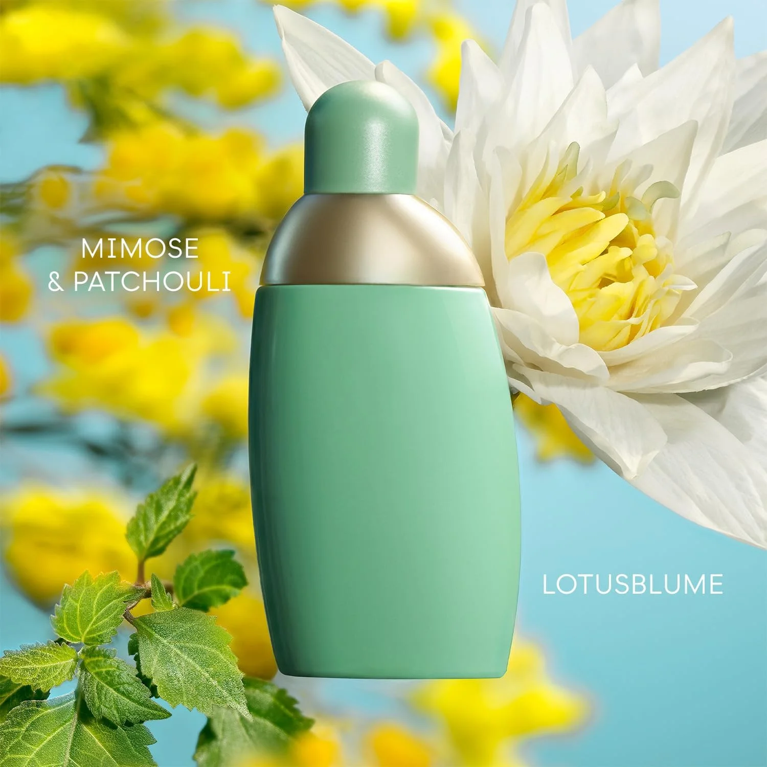 ادو پرفیوم زنانه کاشارل Eden حجم 30 میلی لیتر