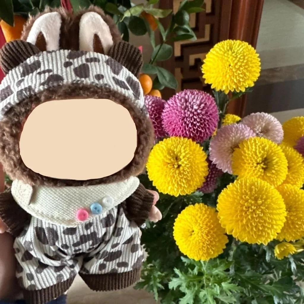 ست لباس عروسک با کیفیت عالی برای عروسک های 17 سانتی متری، شامل لوازم جانبی نفیس و لباس های شیک، مناسب برای کلکسیونرها و نمایش (عروسک ها شامل نمی شوند)