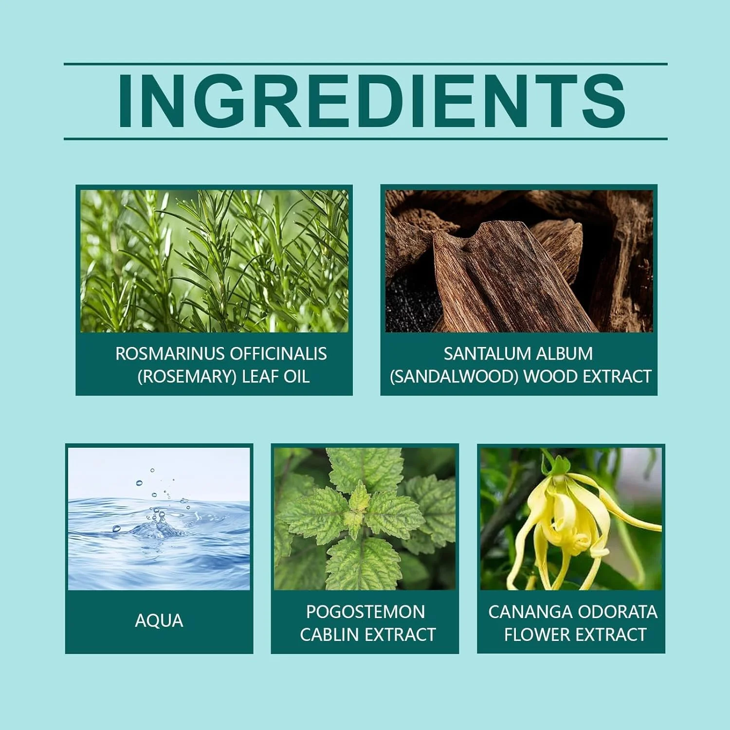 عطر فرمونی زنانه آزونی، عطر فرمونی رولی برای زنان و مردان، عصاره چوب صندل و گل، رایحه ماندگار و ظریف، رایحه های تقویت شده، قابل حمل 10 میلی لیتر عطر فرمونی زنانه آزونی، عطر فرمونی رولی برای زنان و مردان، عصاره چوب صندل و گل، رایحه ماندگار و ظریف، رایحه های تقویت شده، قابل حمل 10 میلی لیتر