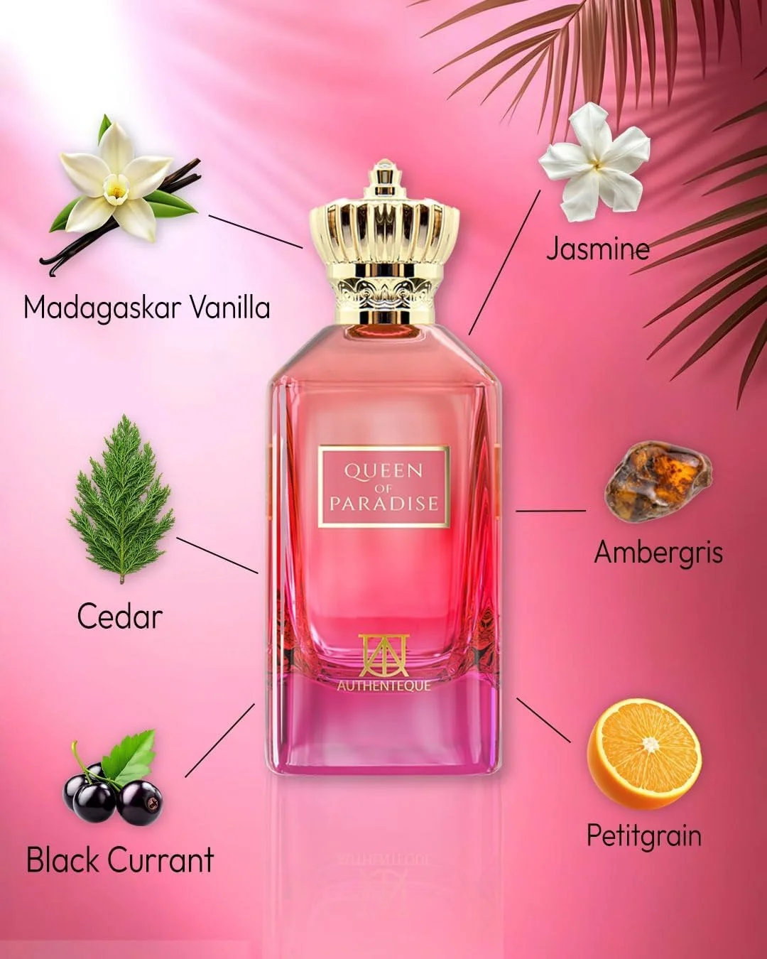 آتنتیک - Queen of Paradise - عطر زنانه 100 میلی لیتر - عطرهای شخصی ماندگار زنانه - عطر لوکس - اکستریت د پرفیوم
