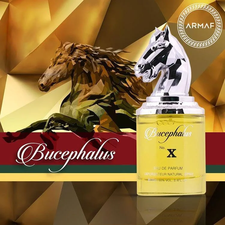 عطر ادو پرفیوم آرماف Niche Bucephalus No. X، ۱۰۰ میلی لیتر، زرد، از استرلینگ پرفیومز، مناسب برای آقایان و بانوان عطر ادو پرفیوم آرماف Niche Bucephalus No. X، ۱۰۰ میلی لیتر، زرد، از استرلینگ پرفیومز، مناسب برای آقایان و بانوان