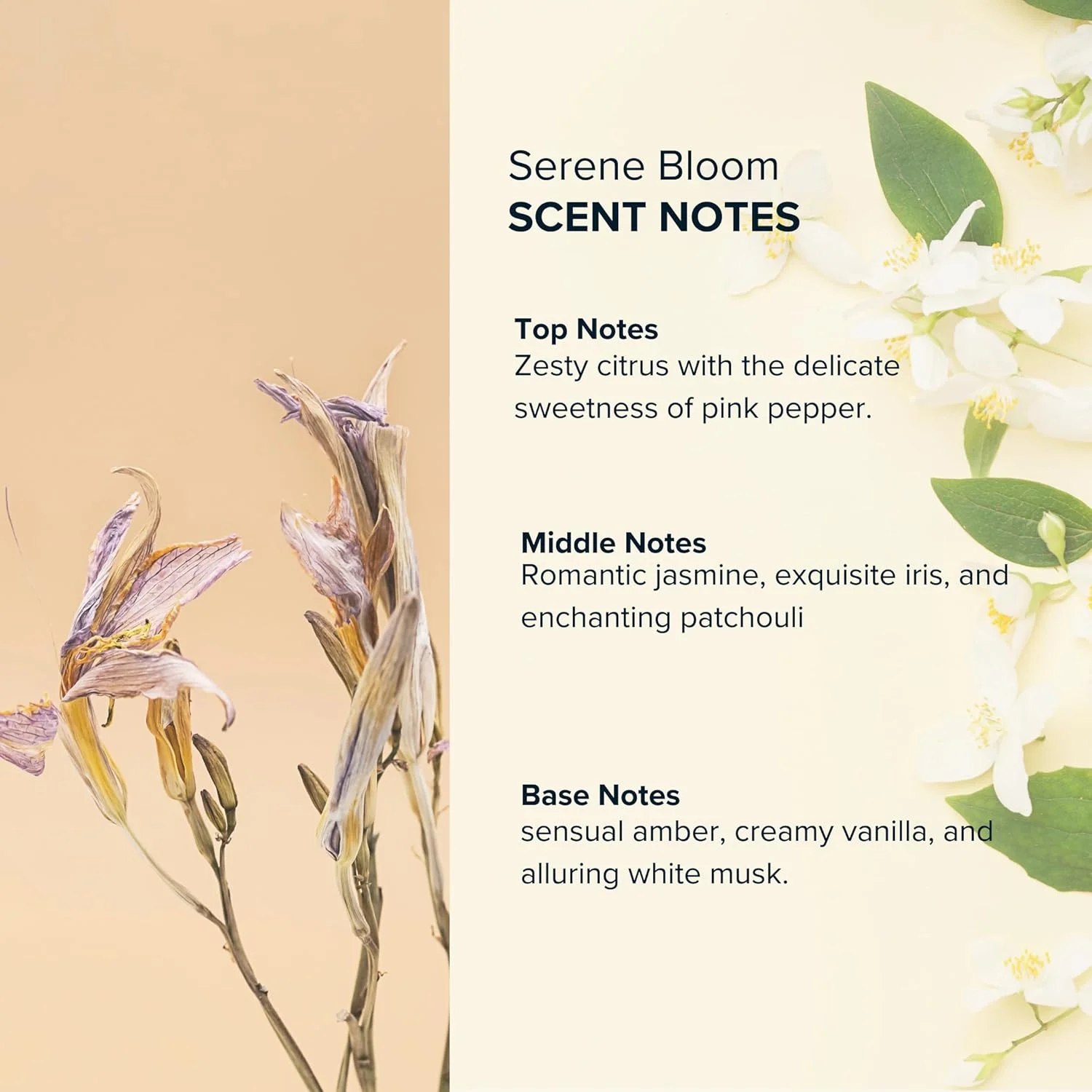روغن عطر رولی زنانه Anthology Serene Bloom، 9 میلی لیتر | رایحه های مرکبات، وانیل، فلفل صورتی، یاس و زنبق | بدون الکل، سایز مسافرتی، عطر مینی | عطر پاک و بدون تست حیوانی