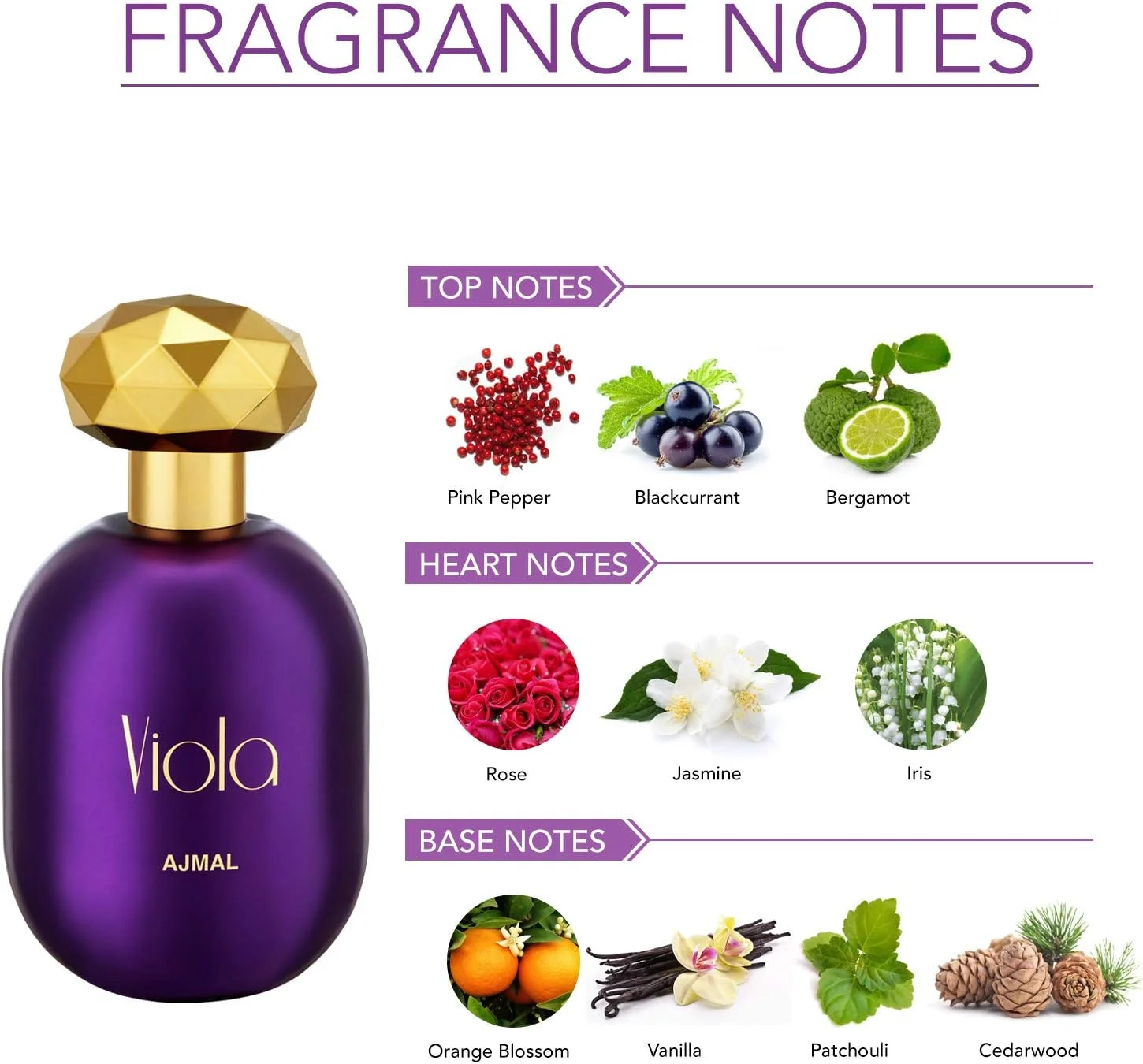 عطر زنانه ویولا از اجمل پرفیومز - ادو پرفیوم 75 میلی لیتر عطر زنانه ویولا از اجمل پرفیومز - ادو پرفیوم 75 میلی لیتر