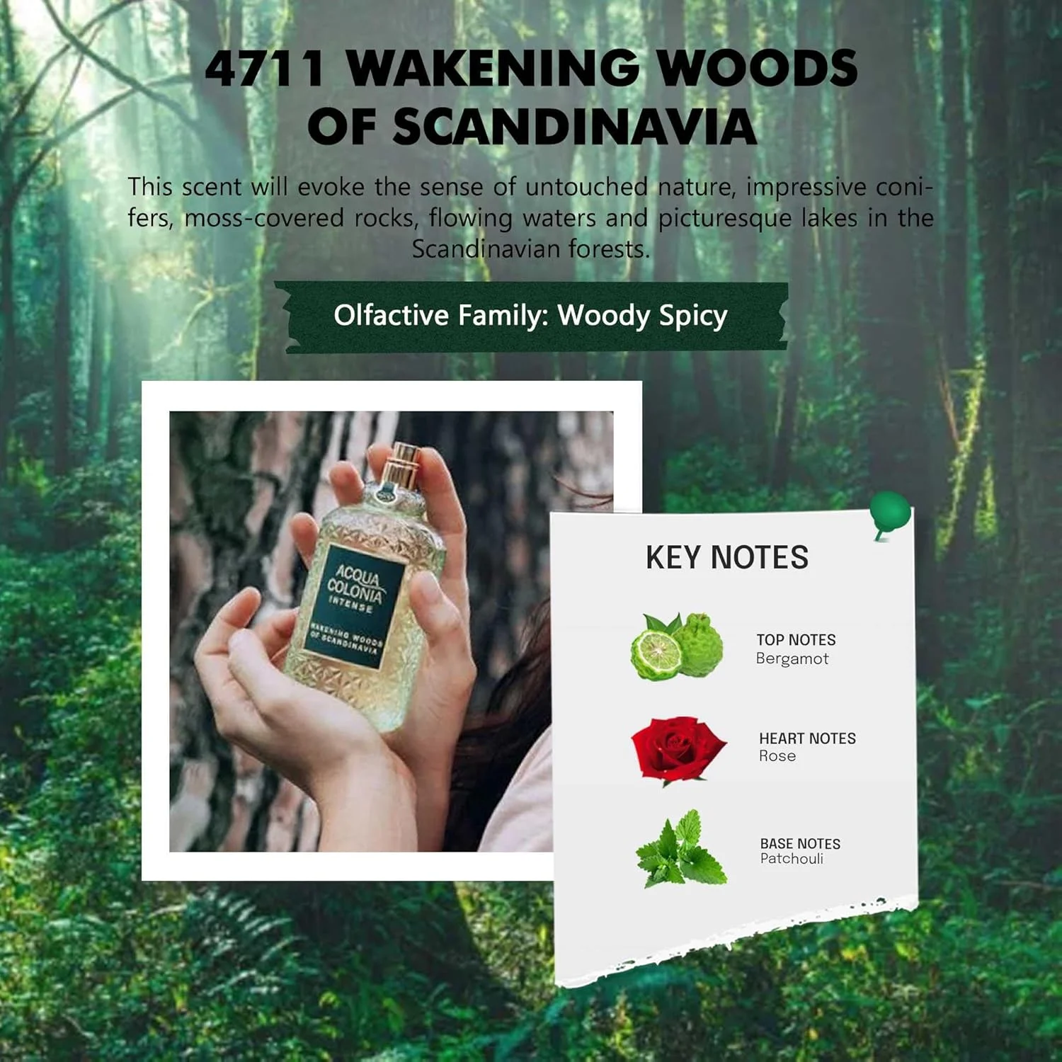 ادکلن униsex 4711 Acqua Colonia Wakening Woods by Maurer & Wirtz Eau De Cologne Intense Spray 169 میلی لیتر