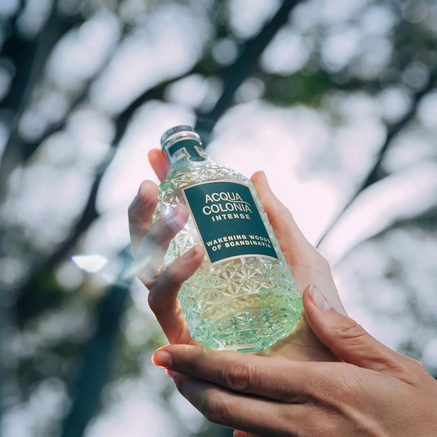 ادکلن униsex 4711 Acqua Colonia Wakening Woods by Maurer & Wirtz Eau De Cologne Intense Spray 169 میلی لیتر