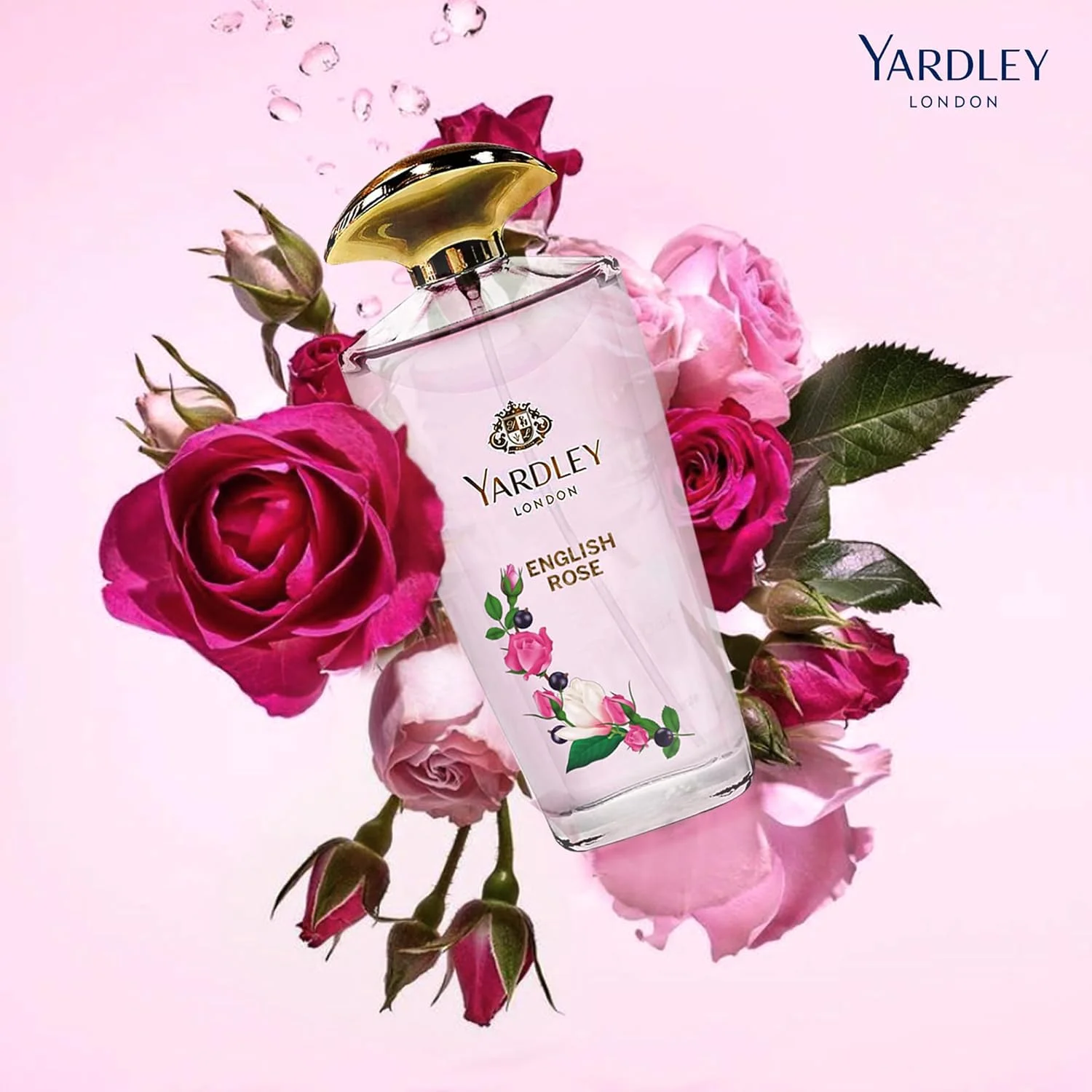 ست هدیه عطر زنانه رز انگلیسی Yardley London - ادو تویلت 125 میلی لیتر + اسپری بدن 150 میلی لیتر رایحه گلی مسحور کننده با رز، آکورد چای و ترنج