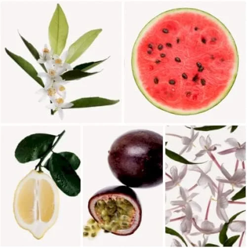 عطر زنانه راک بای شکیرا - ماندگاری طولانی - رایحه ای تازه، زنانه و پویا - نت های گلی و میوه ای - ایده آل برای استفاده روزانه - 80 میلی لیتر
