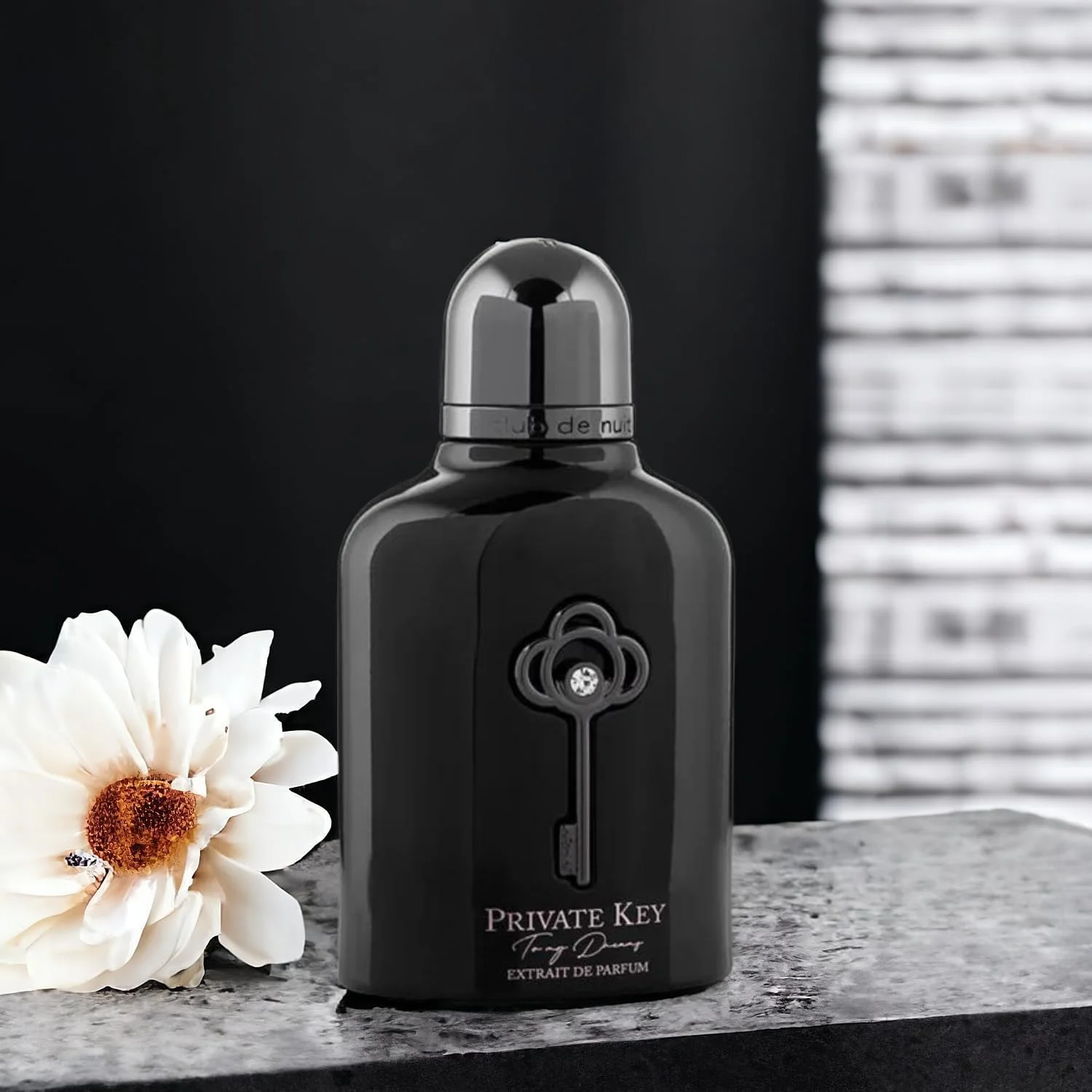 عطر آرماف کلاب د نویت پرایوت کی تو مای دریمز اکستریت د پرفیوم مشکی 100 میلی لیتر، عطر مردانه، عطر زنانه عطر آرماف کلاب د نویت پرایوت کی تو مای دریمز اکستریت د پرفیوم مشکی 100 میلی لیتر، عطر مردانه، عطر زنانه