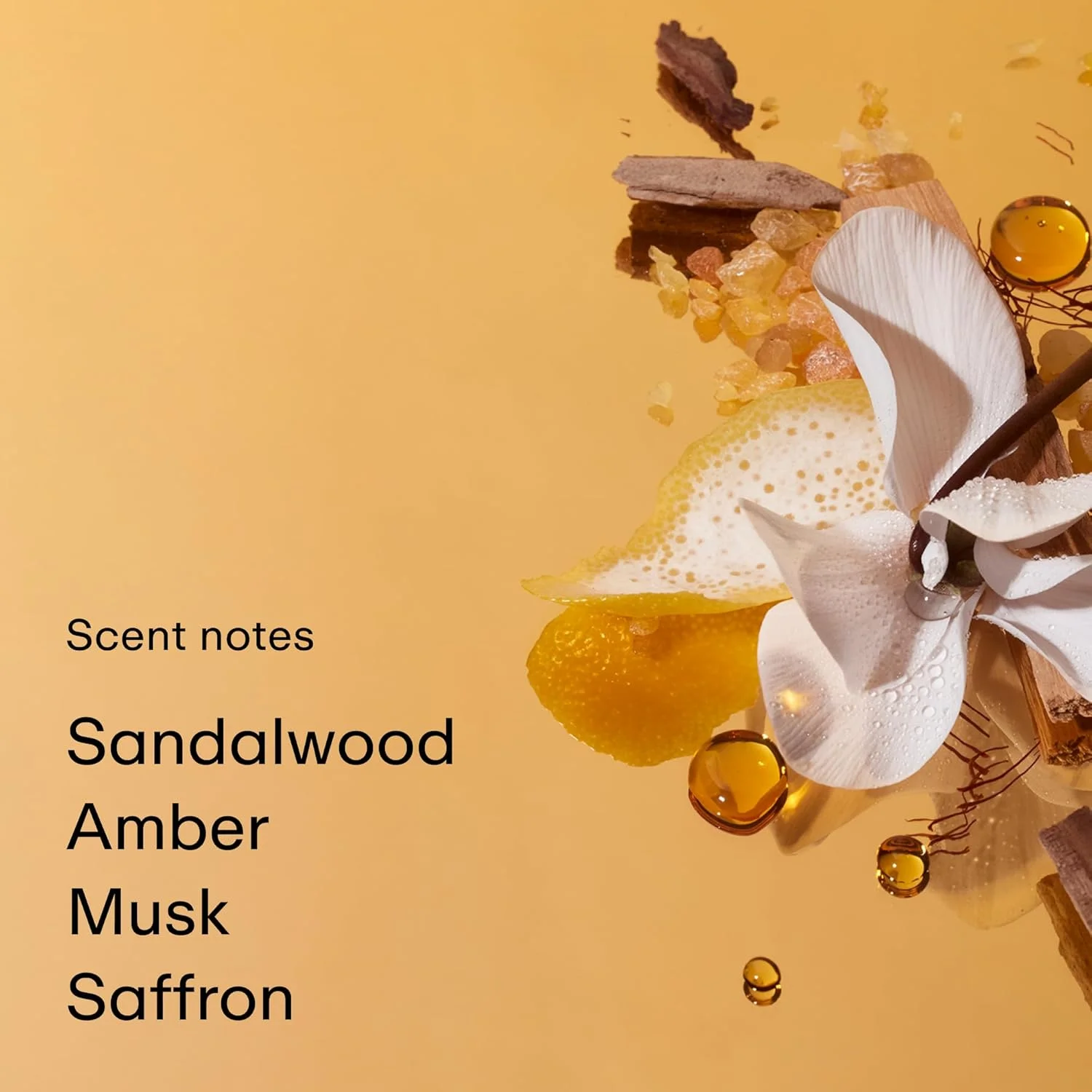 عطر جیبی PHLUR Somebody Wood Eau de Parfum - عطر زنانه و مردانه - عطر چوبی تند با رایحه ترنج، لیمو، چوب سدر، چوب صندل، مشک و وانیل (9.5 میلی لیتر)