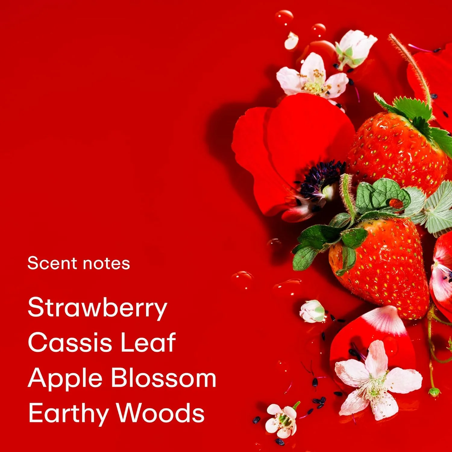 عطر ادکلن PHLUR Strawberry Letter - اسپری عطر مسافرتی - عطر گورمند توت فرنگی (9.5 میلی لیتر)