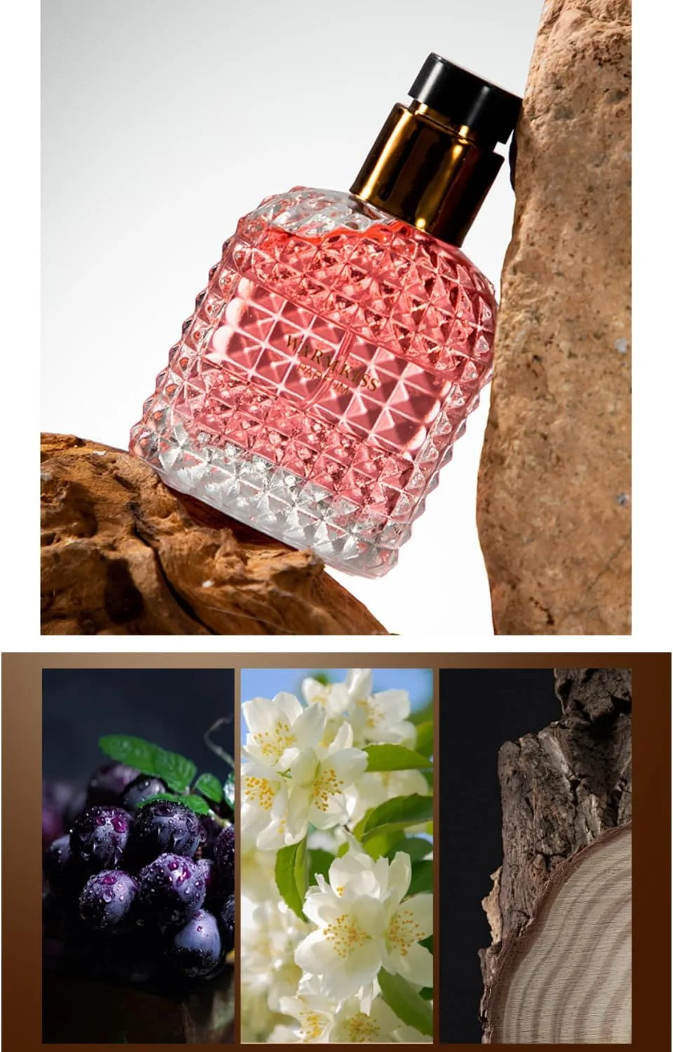 ست هدیه عطر زنانه 4 عددی، عطر زنانه برای هدیه، ست مینی عطر ماندگار، رایحه گل، میوه ای، عطر عید، هدیه تولد برای زنان، ادو پرفیوم هدیه کریسمس برای او ست هدیه عطر زنانه 4 عددی، عطر زنانه برای هدیه، ست مینی عطر ماندگار، رایحه گل، میوه ای، عطر عید، هدیه تولد برای زنان، ادو پرفیوم هدیه کریسمس برای او