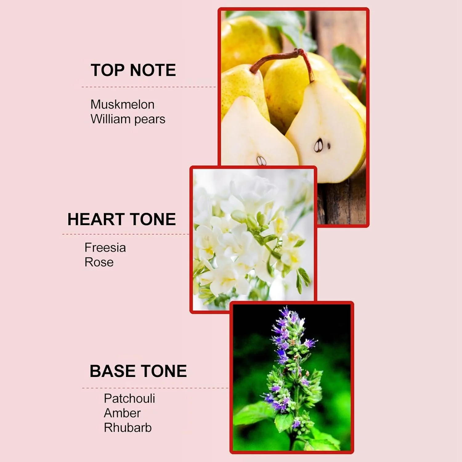 عطر با رایحه گلی میوه ای، عطر با طراوت با بسته بندی به سبک چینی، عطر اسپری، عطر ماندگار با لایه های غنی برای زنان و مردان عطر با رایحه گلی میوه ای، عطر با طراوت با بسته بندی به سبک چینی، عطر اسپری، عطر ماندگار با لایه های غنی برای زنان و مردان
