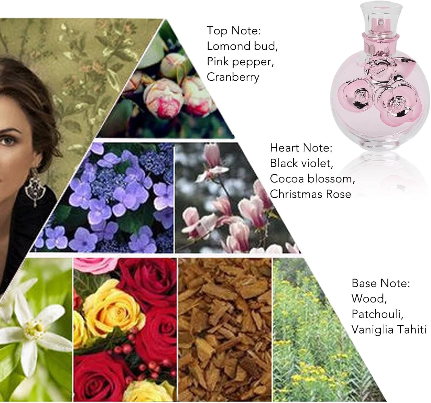 عطر زنانه، عطر گل زنانه جذاب برای ملاقات و قرارهای عاشقانه عطر زنانه، عطر گل زنانه جذاب برای ملاقات و قرارهای عاشقانه