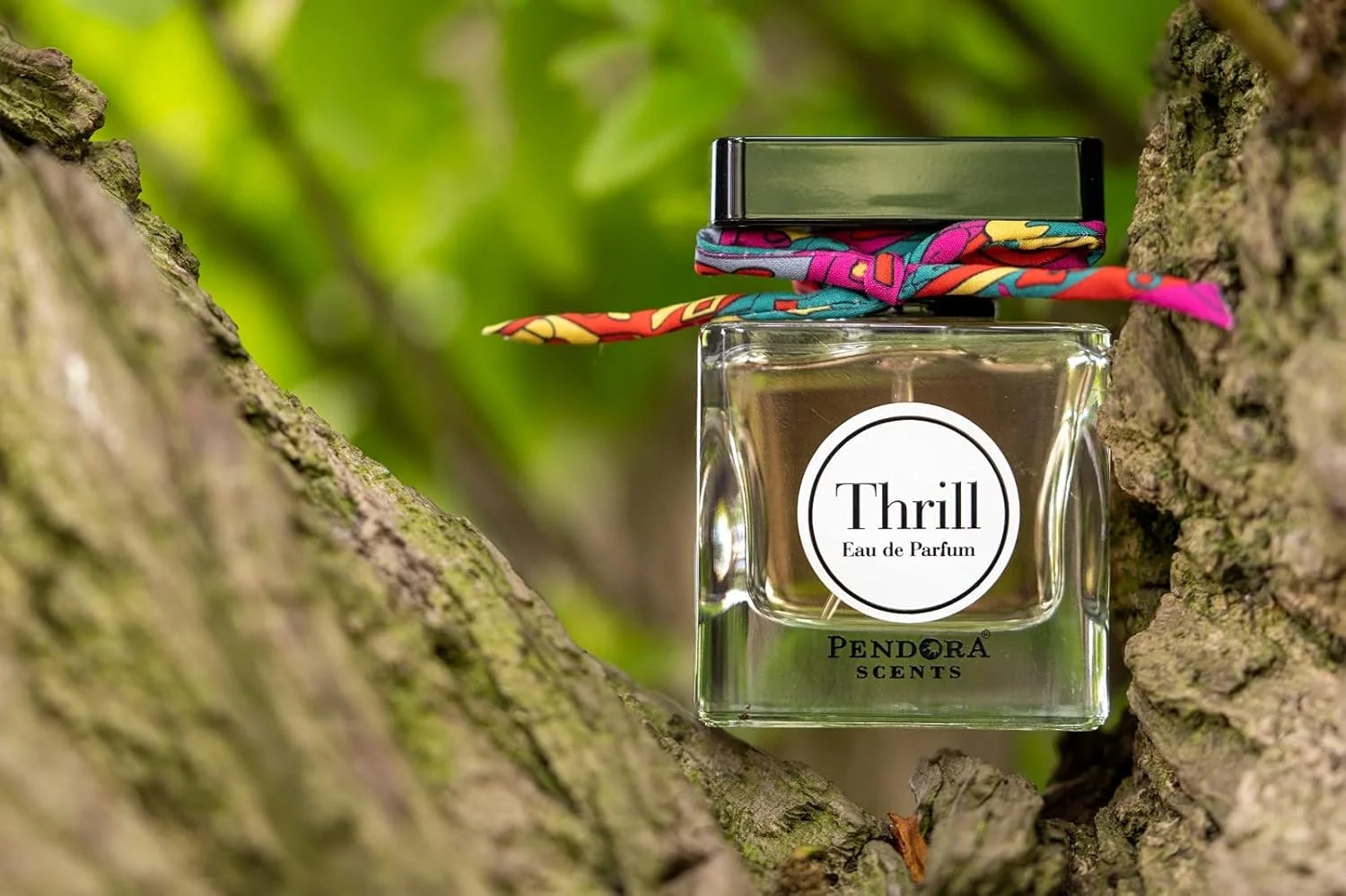 ادکلن زنانه پاریس کرنر مدل Thrill با ماندگاری طولانی، عطر پندورا سنتس، ادو پرفیوم 100 میلی لیتر (3.3 اونس) ادکلن زنانه پاریس کرنر مدل Thrill با ماندگاری طولانی، عطر پندورا سنتس، ادو پرفیوم 100 میلی لیتر (3.3 اونس)