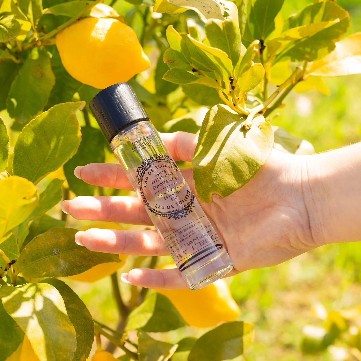 پانیه دس سنس - ادو تویلت - عطر پروونس زنانه - رایحه گلی - ماندگاری طولانی، عطر طبیعی - مو و بدن - مناسب گیاهخواران - ادو پرفیوم ساخت فرانسه - 50 میلی لیتر پانیه دس سنس - ادو تویلت - عطر پروونس زنانه - رایحه گلی - ماندگاری طولانی، عطر طبیعی - مو و بدن - مناسب گیاهخواران - ادو پرفیوم ساخت فرانسه - 50 میلی لیتر