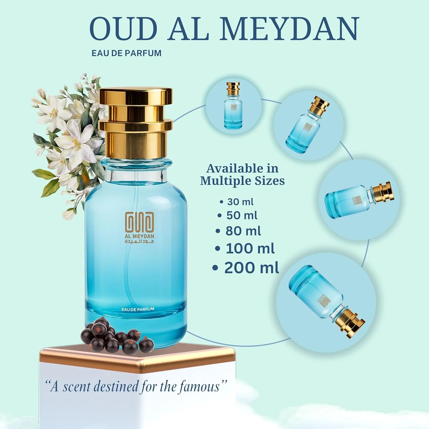 عطر روغنی زنانه عود المیدان – الهام گرفته از بلک ارکید "Smoky Spice" – ماندگاری طولانی مدت بیش از 10 ساعت، رایحه شرقی تند با ترافل، ارکیده و نعناع هندی – بدون الکل، مناسب برای استفاده در شب (50 میلی لیتر) عطر روغنی زنانه عود المیدان – الهام گرفته از بلک ارکید "Smoky Spice" – ماندگاری طولانی مدت بیش از 10 ساعت، رایحه شرقی تند با ترافل، ارکیده و نعناع هندی – بدون الکل، مناسب برای استفاده در شب (50 میلی لیتر)