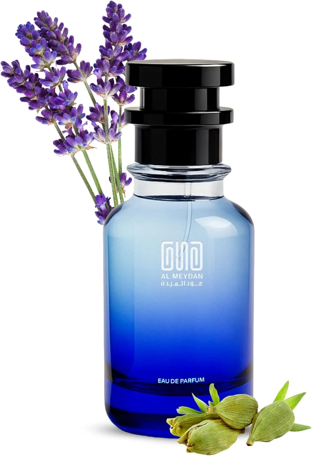 عطر روغنی عود المیدان زنانه و مردانه – الهام گرفته از بالم آف کالم – بدون الکل، ماندگاری طولانی مدت 10+ ساعت، رایحه چوبی معطر با نت های چوب صندل، زنبق و بلوط (200 میلی لیتر)