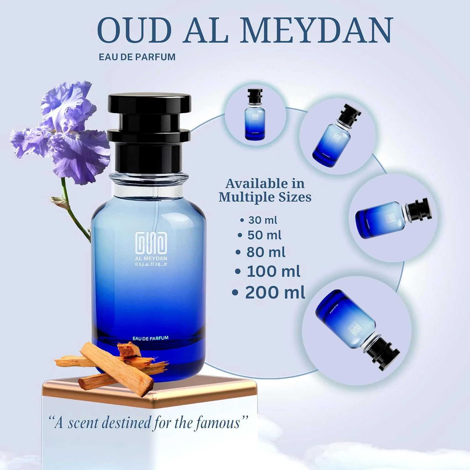 عطر روغنی عود المیدان زنانه و مردانه – الهام گرفته از بالم آف کالم – بدون الکل، ماندگاری طولانی مدت 10+ ساعت، رایحه چوبی معطر با نت های چوب صندل، زنبق و بلوط (200 میلی لیتر) عطر روغنی عود المیدان زنانه و مردانه – الهام گرفته از بالم آف کالم – بدون الکل، ماندگاری طولانی مدت 10+ ساعت، رایحه چوبی معطر با نت های چوب صندل، زنبق و بلوط (200 میلی لیتر)