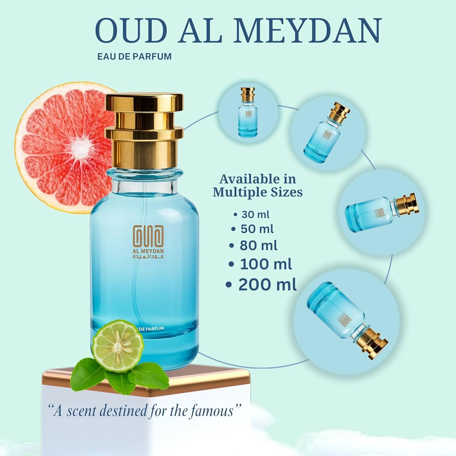 عطر روغنی عود المیدان زنانه و مردانه - مشابه رایحه 40 Knotz - ترکیبی دریایی چوبی با رایحه نمک دریا، چوب کهربا و مشک - بدون الکل - ماندگاری طولانی 10+ ساعت - унисекс (200 میلی لیتر)
