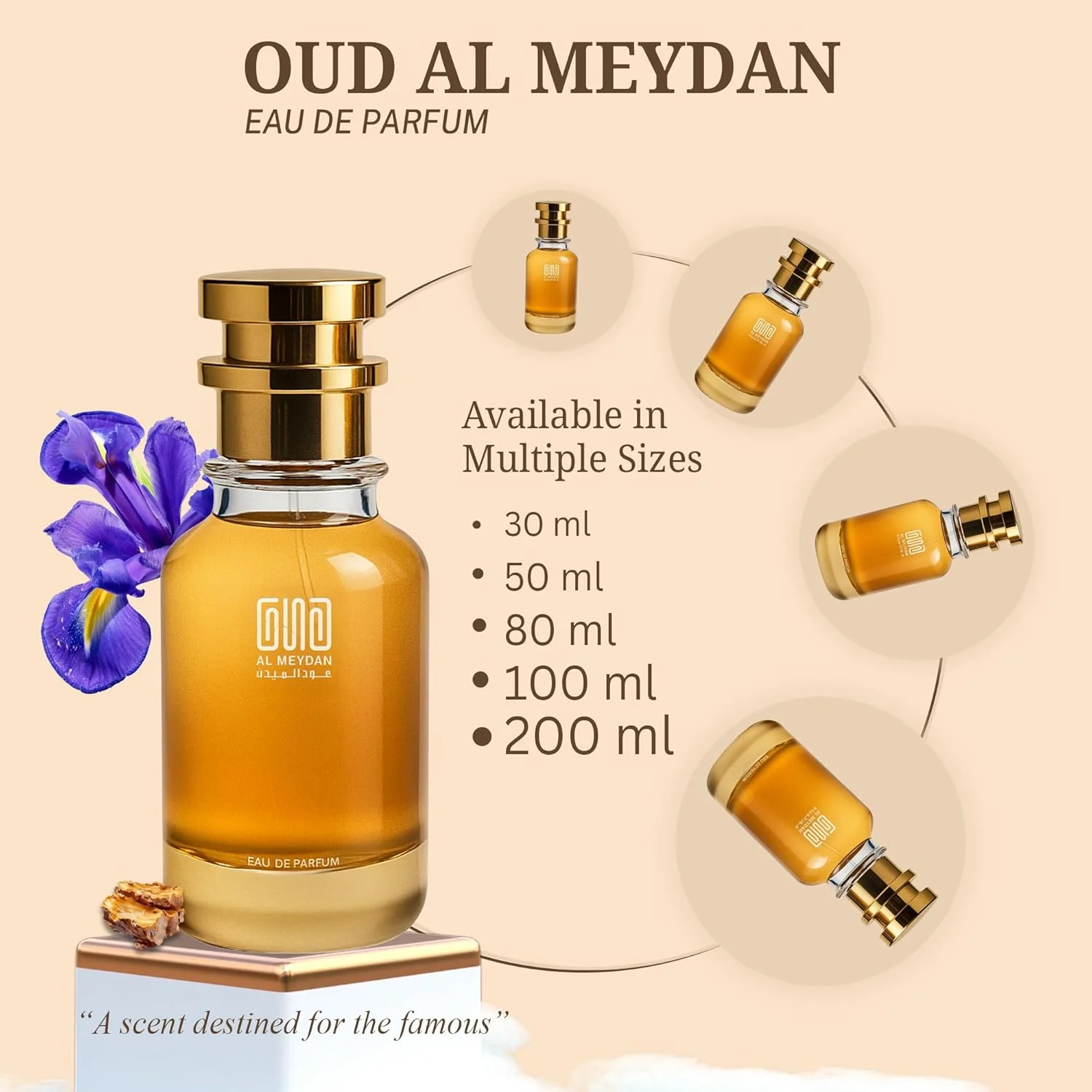 عطر روغنی عود المیدان Citiizen EXX زنانه و مردانه - الهام گرفته از Citiizen EXX - روغن عطر مشک چوبی ماندگار با رایحه زنبق، عنبر و فلفل سفید - ماندگاری 8-10 ساعته (200 میلی لیتر)