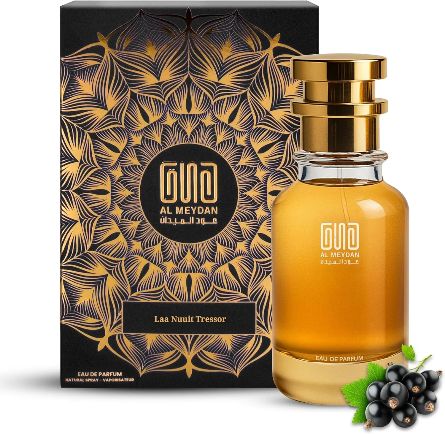 عطر روغنی عود المیدان زنانه – الهام گرفته از Laa Nuuit Tressor – رایحه بدون الکل با انگور فرنگی سیاه، رز، کاکائو و نعناع هندی – ماندگاری طولانی، رمانتیک و ظریف (100 میلی لیتر)