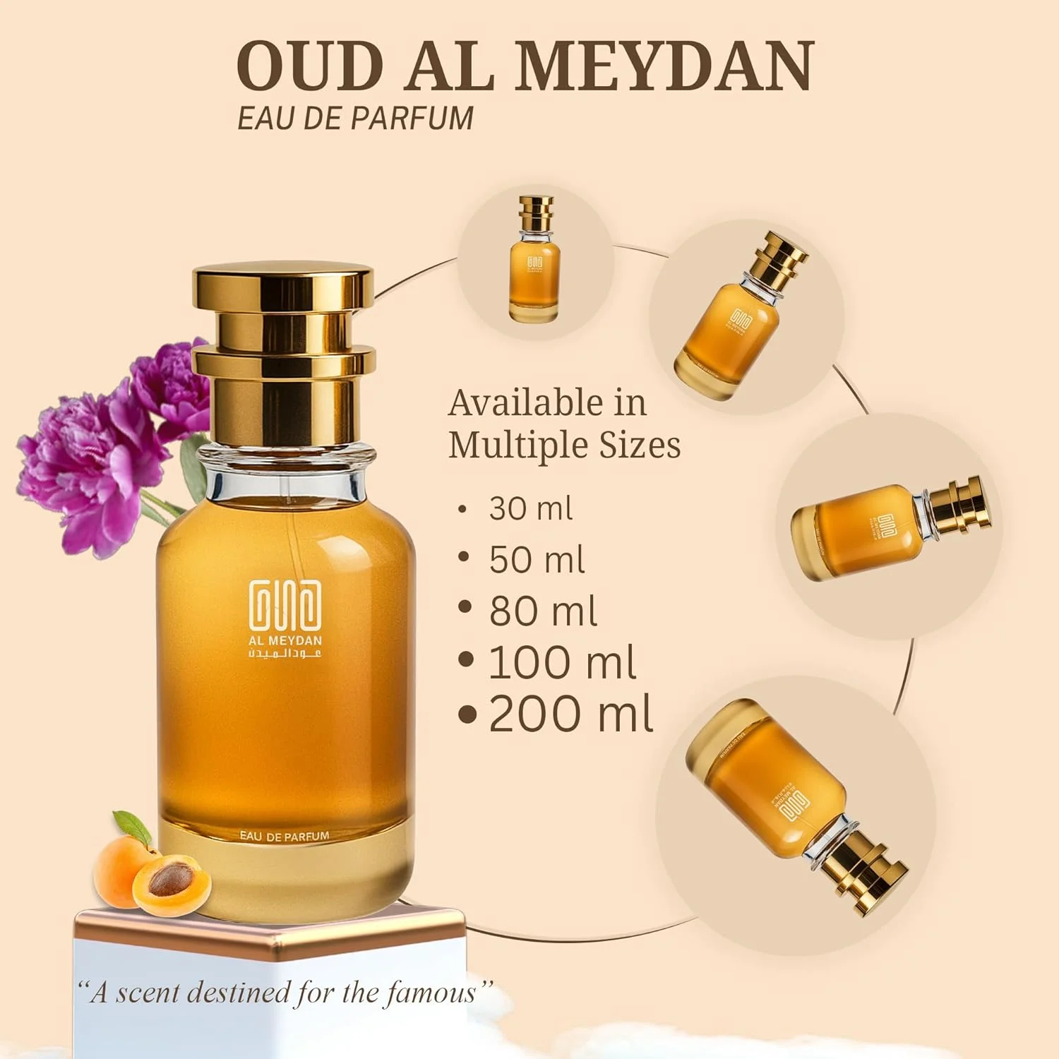 عطر روغنی عود المیدان زنانه و مردانه – الهام گرفته از بلک لاکر – رایحه بدون الکل با جوهر، وینیل، چوب آبنوس و اولیبانوم – ماندگاری طولانی، جسورانه و مرموز (80 میلی لیتر) عطر روغنی عود المیدان زنانه و مردانه – الهام گرفته از بلک لاکر – رایحه بدون الکل با جوهر، وینیل، چوب آبنوس و اولیبانوم – ماندگاری طولانی، جسورانه و مرموز (80 میلی لیتر)