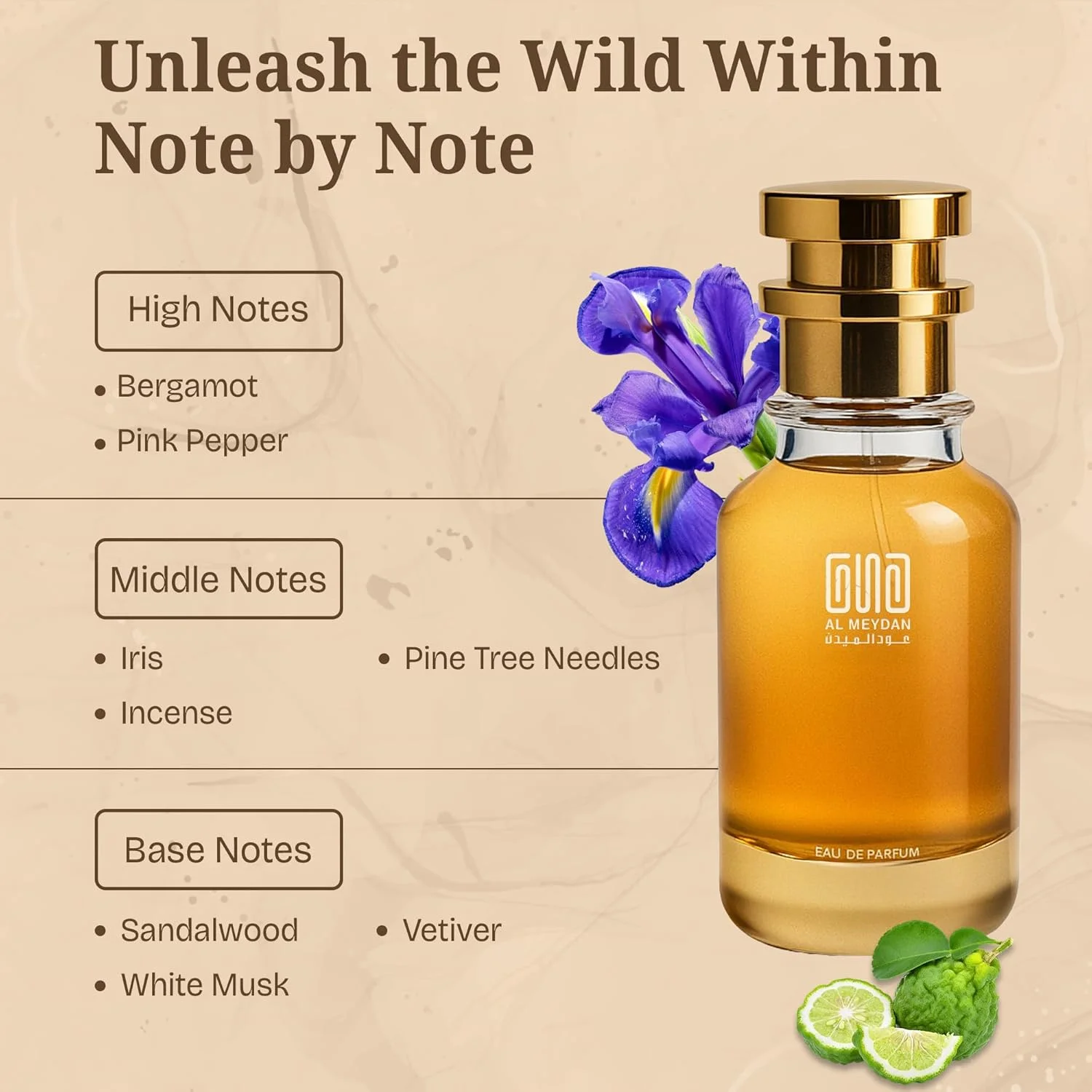 عطر روغنی عود المیدان زنانه و مردانه – الهام گرفته از پارچی نو – رایحه چوبی معطر بدون الکل با ترنج، زنبق، چوب صندل و وتیور – ماندگاری طولانی، ظریف و نشاط بخش (50 میلی لیتر) عطر روغنی عود المیدان زنانه و مردانه – الهام گرفته از پارچی نو – رایحه چوبی معطر بدون الکل با ترنج، زنبق، چوب صندل و وتیور – ماندگاری طولانی، ظریف و نشاط بخش (50 میلی لیتر)