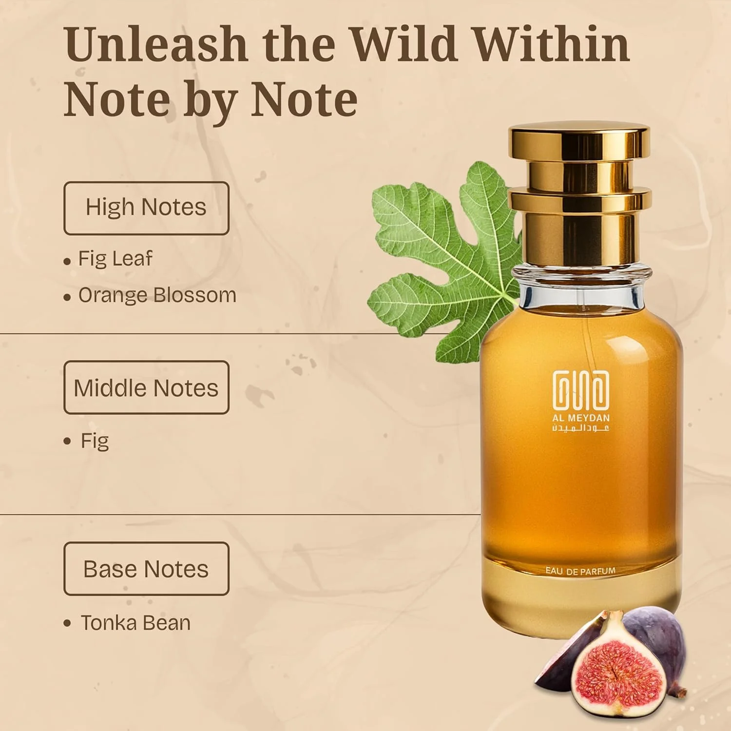 عطر روغنی عود المیدان زنانه و مردانه – الهام گرفته از Ciiaoo Ammoore – ماندگاری طولانی، رایحه بدون الکل یونیسکس با برگ انجیر، شکوفه پرتقال، انجیر و دانه تونکا (30 میلی لیتر) عطر روغنی عود المیدان زنانه و مردانه – الهام گرفته از Ciiaoo Ammoore – ماندگاری طولانی، رایحه بدون الکل یونیسکس با برگ انجیر، شکوفه پرتقال، انجیر و دانه تونکا (30 میلی لیتر)