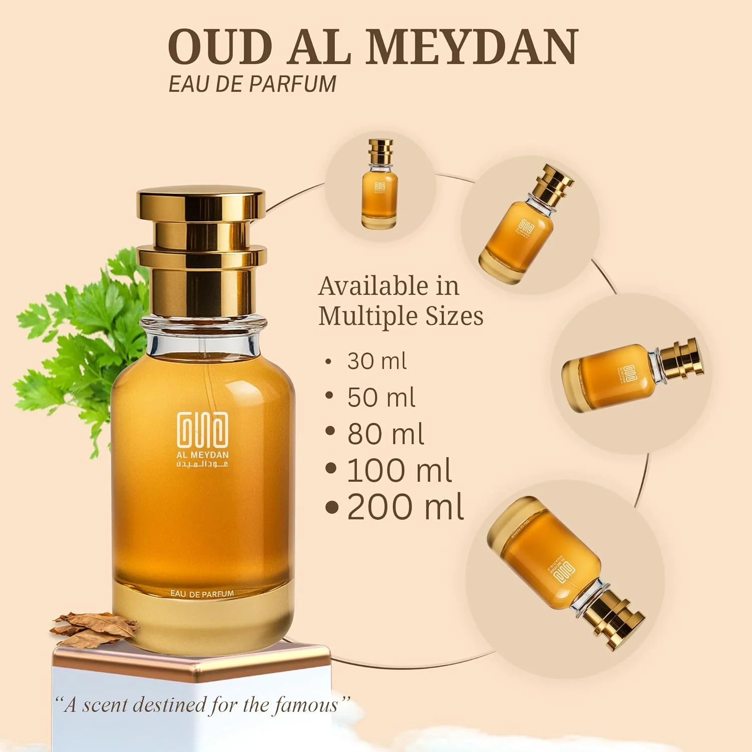 عطر روغنی عود المیدان زنانه و مردانه – الهام گرفته از Quaatrro Pizii – رایحه بدون الکل با داوانا، رام، گل مریم و برگ تنباکو – ماندگاری طولانی، جسورانه و عجیب و غریب (50 میلی لیتر) عطر روغنی عود المیدان زنانه و مردانه – الهام گرفته از Quaatrro Pizii – رایحه بدون الکل با داوانا، رام، گل مریم و برگ تنباکو – ماندگاری طولانی، جسورانه و عجیب و غریب (50 میلی لیتر)