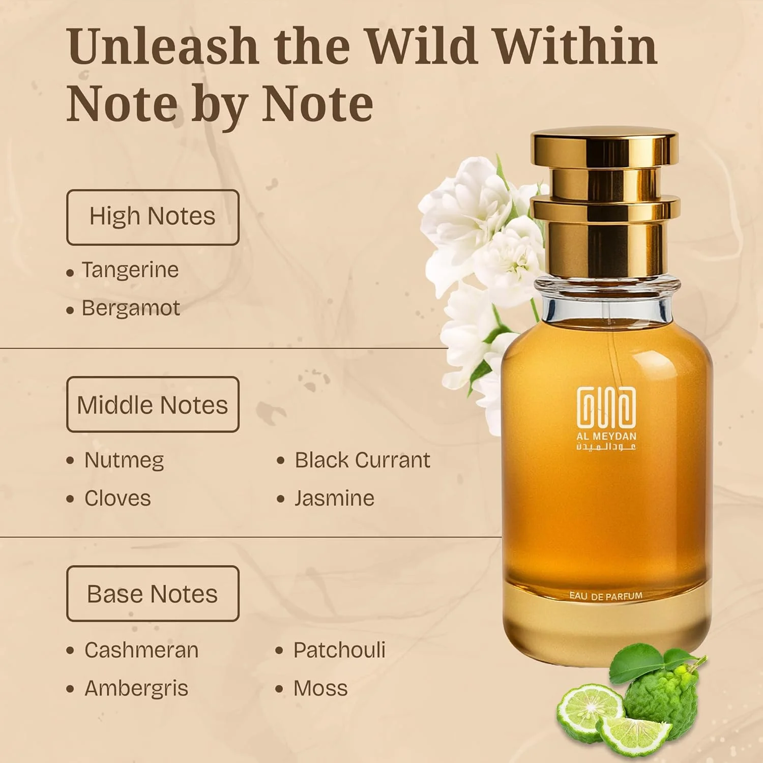 عطر روغنی عود المیدان زنانه و مردانه – الهام گرفته از Suggardadyy – رایحه بدون الکل با نارنگی، یاس، انگور فرنگی سیاه، کشمیران و نعناع هندی – ماندگاری طولانی و جسورانه (30 میلی لیتر) عطر روغنی عود المیدان زنانه و مردانه – الهام گرفته از Suggardadyy – رایحه بدون الکل با نارنگی، یاس، انگور فرنگی سیاه، کشمیران و نعناع هندی – ماندگاری طولانی و جسورانه (30 میلی لیتر)