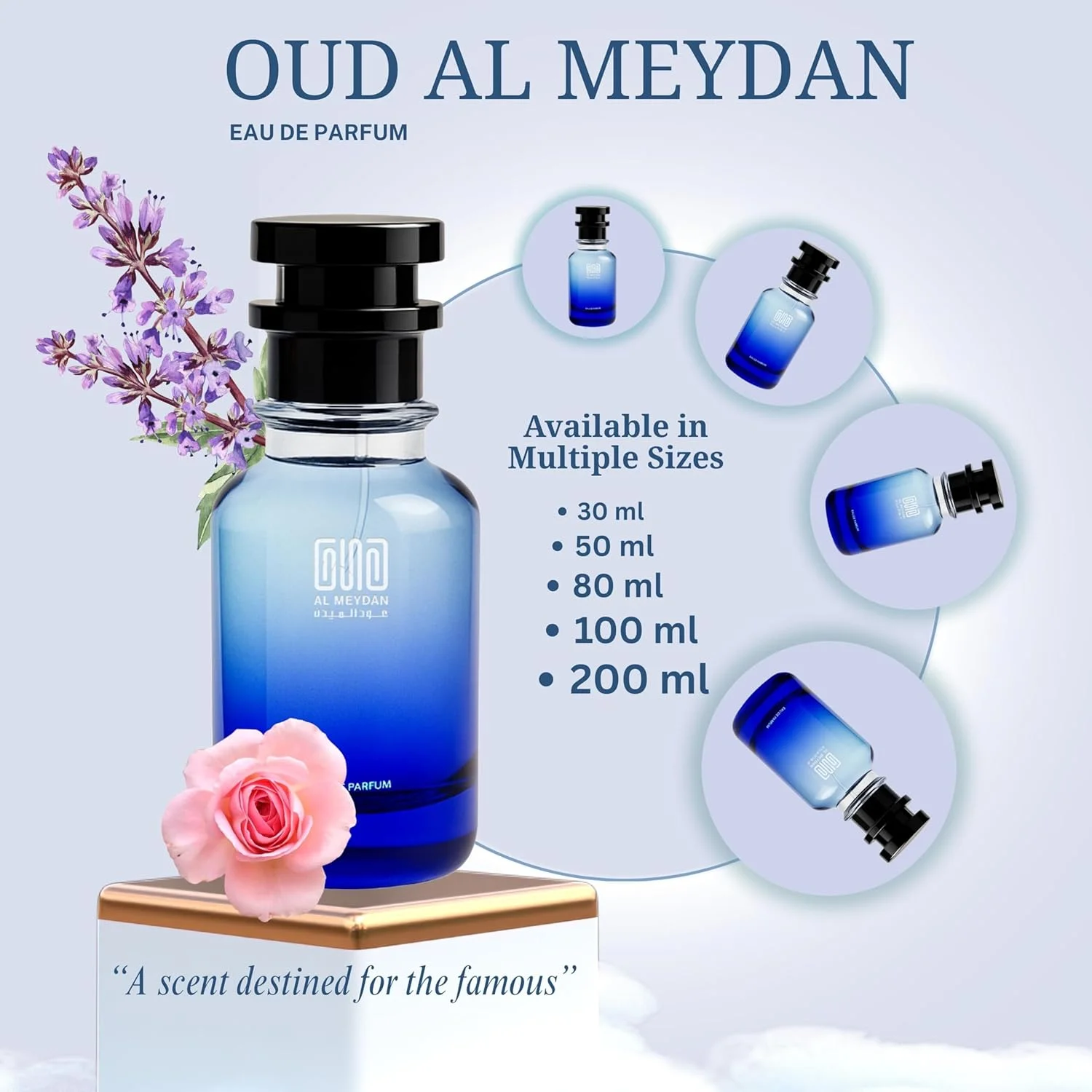 عطر روغنی عود المیدان زنانه - الهام گرفته از See Fyooree Georgio Armanie، رایحه شیپر گلی ظریف با وانیل، رز و انگور فرنگی سیاه، ماندگاری 6-8 ساعته، بدون الکل (80 میلی لیتر) عطر روغنی عود المیدان زنانه - الهام گرفته از See Fyooree Georgio Armanie، رایحه شیپر گلی ظریف با وانیل، رز و انگور فرنگی سیاه، ماندگاری 6-8 ساعته، بدون الکل (80 میلی لیتر)