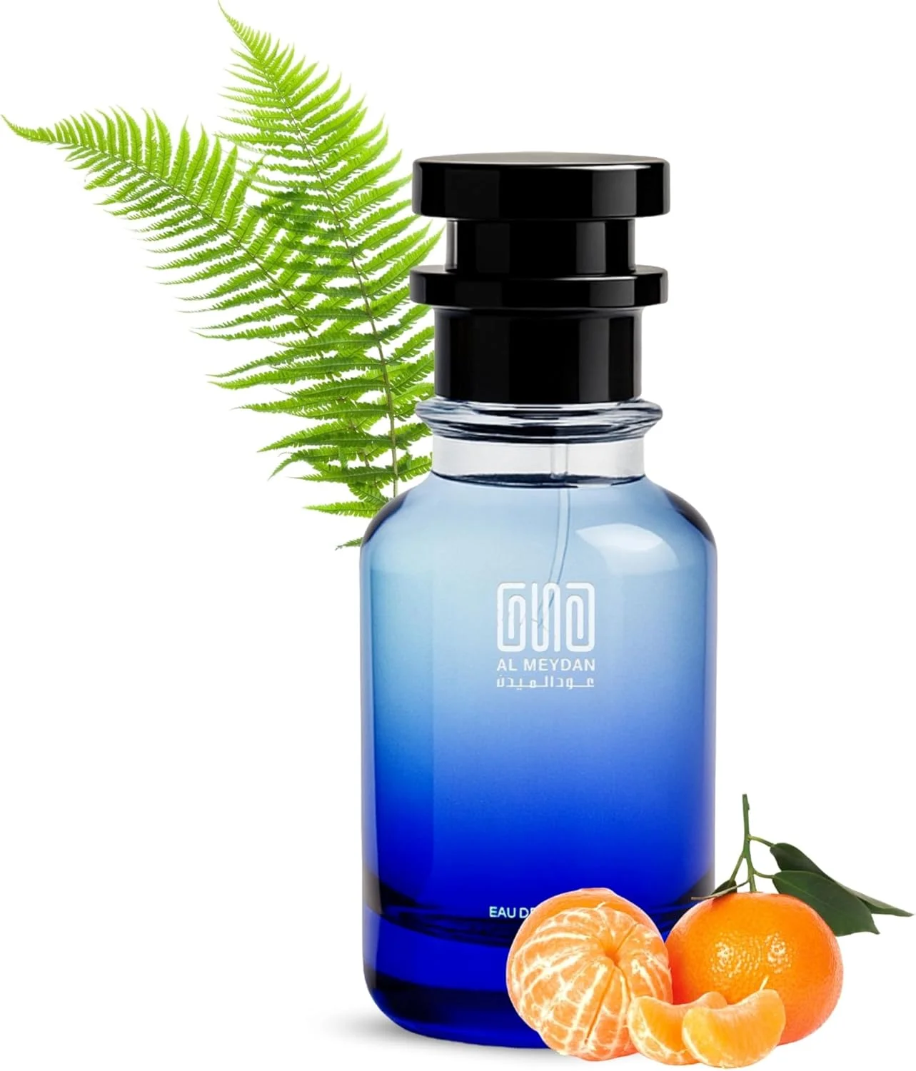 عطر روغنی عود المیدان زنانه - الهام گرفته از وایت تی لیزبت آردن، رایحه ای تازه، گلی و چوبی با نت های چای سفید، عنبر و دانه تونکا - بدون الکل - ماندگاری 10 ساعته برای ظرافت روزانه (50 میلی لیتر)