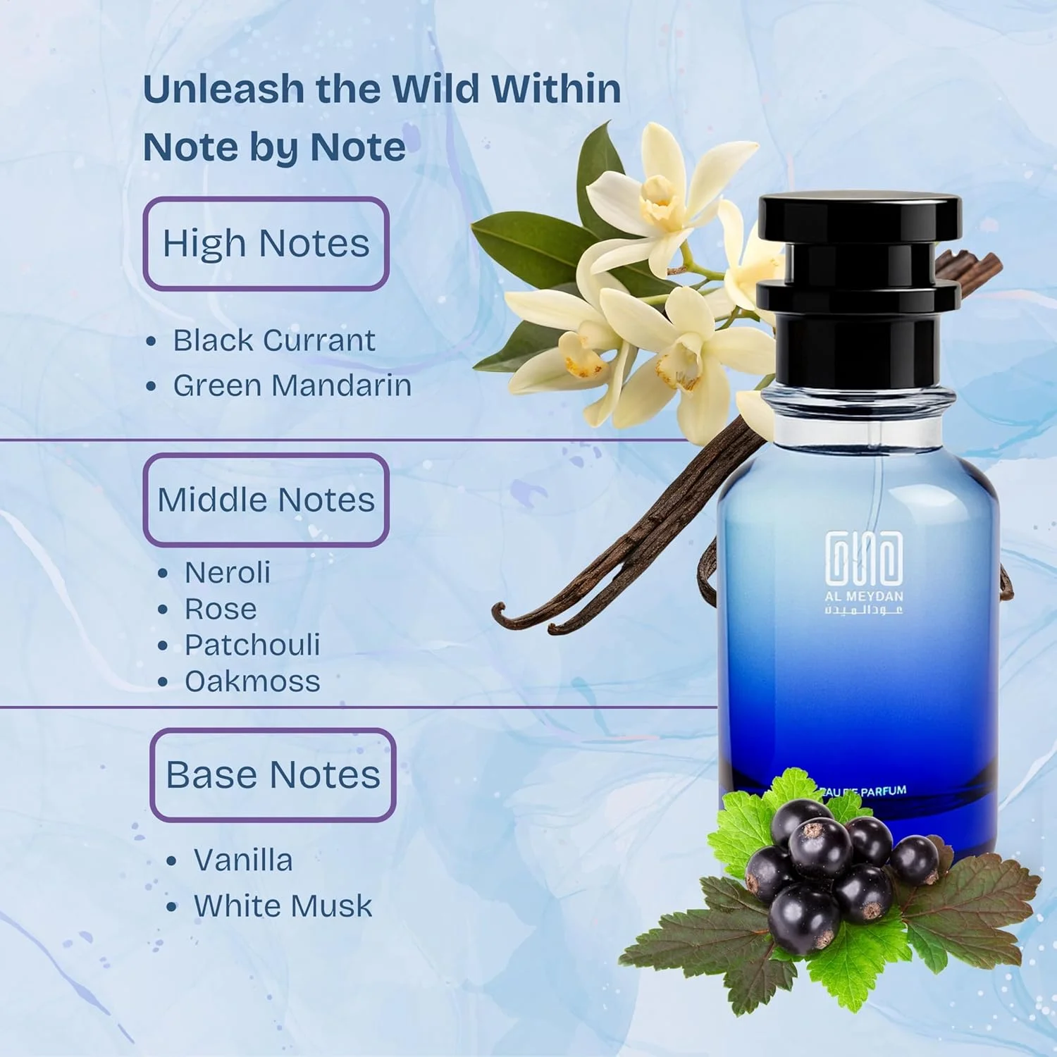 عطر روغنی عود المیدان زنانه - الهام گرفته از See Fyooree Georgio Armanie، رایحه شیپر گلی ظریف با وانیل، رز و انگور فرنگی سیاه، ماندگاری 6-8 ساعته، بدون الکل (80 میلی لیتر) عطر روغنی عود المیدان زنانه - الهام گرفته از See Fyooree Georgio Armanie، رایحه شیپر گلی ظریف با وانیل، رز و انگور فرنگی سیاه، ماندگاری 6-8 ساعته، بدون الکل (80 میلی لیتر)