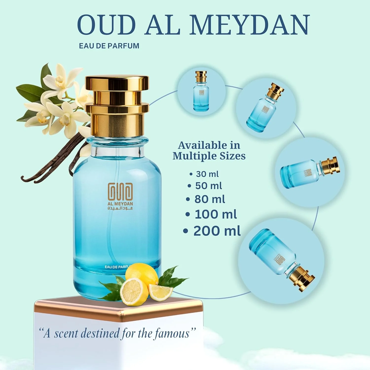 عطر روغنی عود المیدان زنانه - مشابه رایحه Because It’s U، میوه ای گلی با رایحه های تمشک، رز و وانیل - بدون الکل - ماندگاری 10 ساعته برای شب های مجلسی (100 میلی لیتر) عطر روغنی عود المیدان زنانه - مشابه رایحه Because It’s U، میوه ای گلی با رایحه های تمشک، رز و وانیل - بدون الکل - ماندگاری 10 ساعته برای شب های مجلسی (100 میلی لیتر)